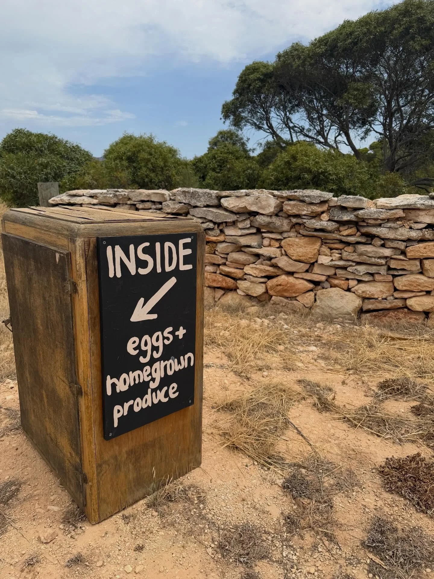 West Coast, SA
Holidays at home.
Such a wild landscape.
It&rsquo;s a raw, wonder filled life.
@visit_port_lincoln_accomm 
@mountgreenlystonework 
@mountgreenly