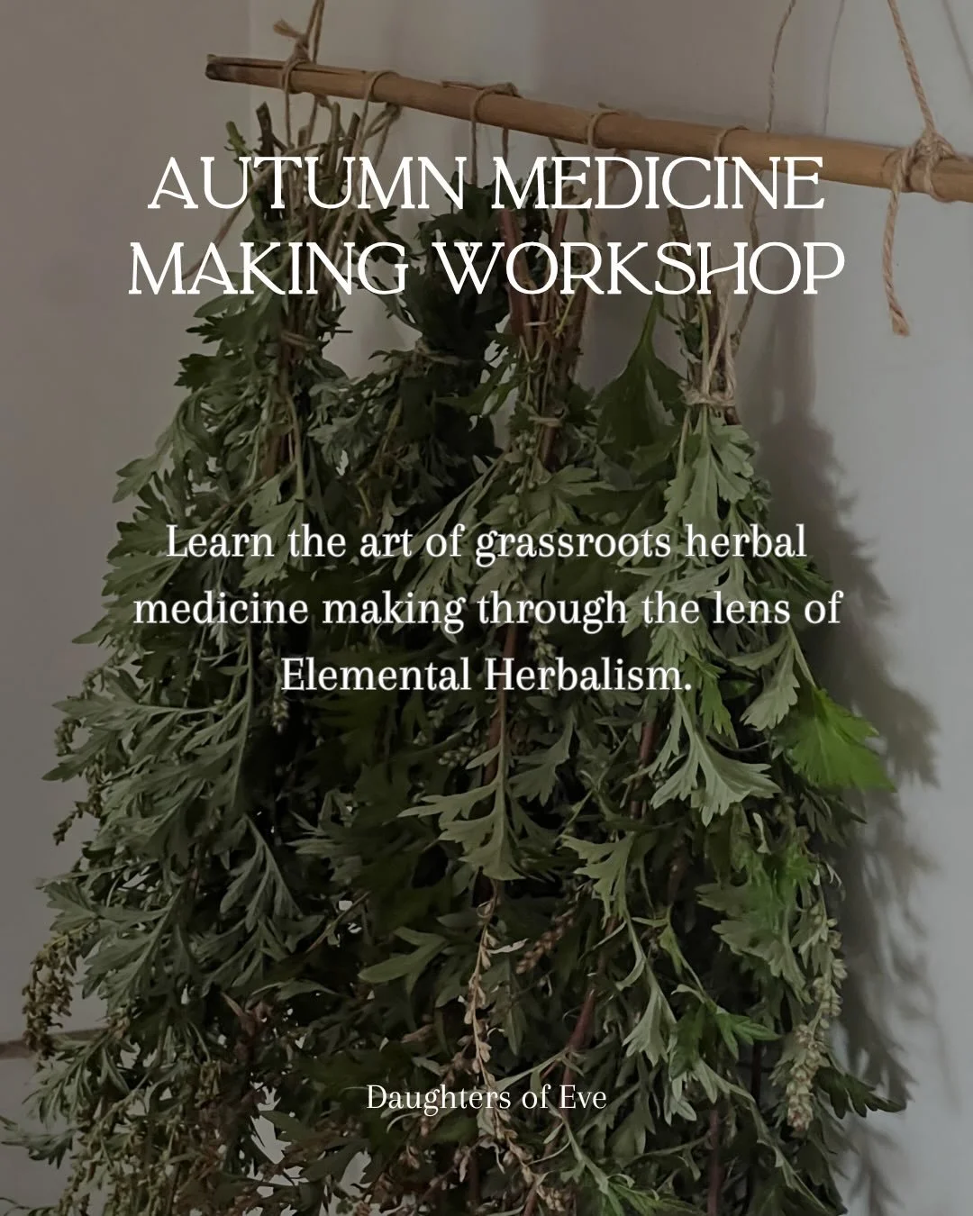 I facilitated my first Elemental Herbalism medicine making workshop over a year ago in Jan 2025.
The Summer addition. It feels like a lifetime ago&hellip;
In July 2025, I facilitated the Winter addition. 
In November last year, I facilitated the Spri