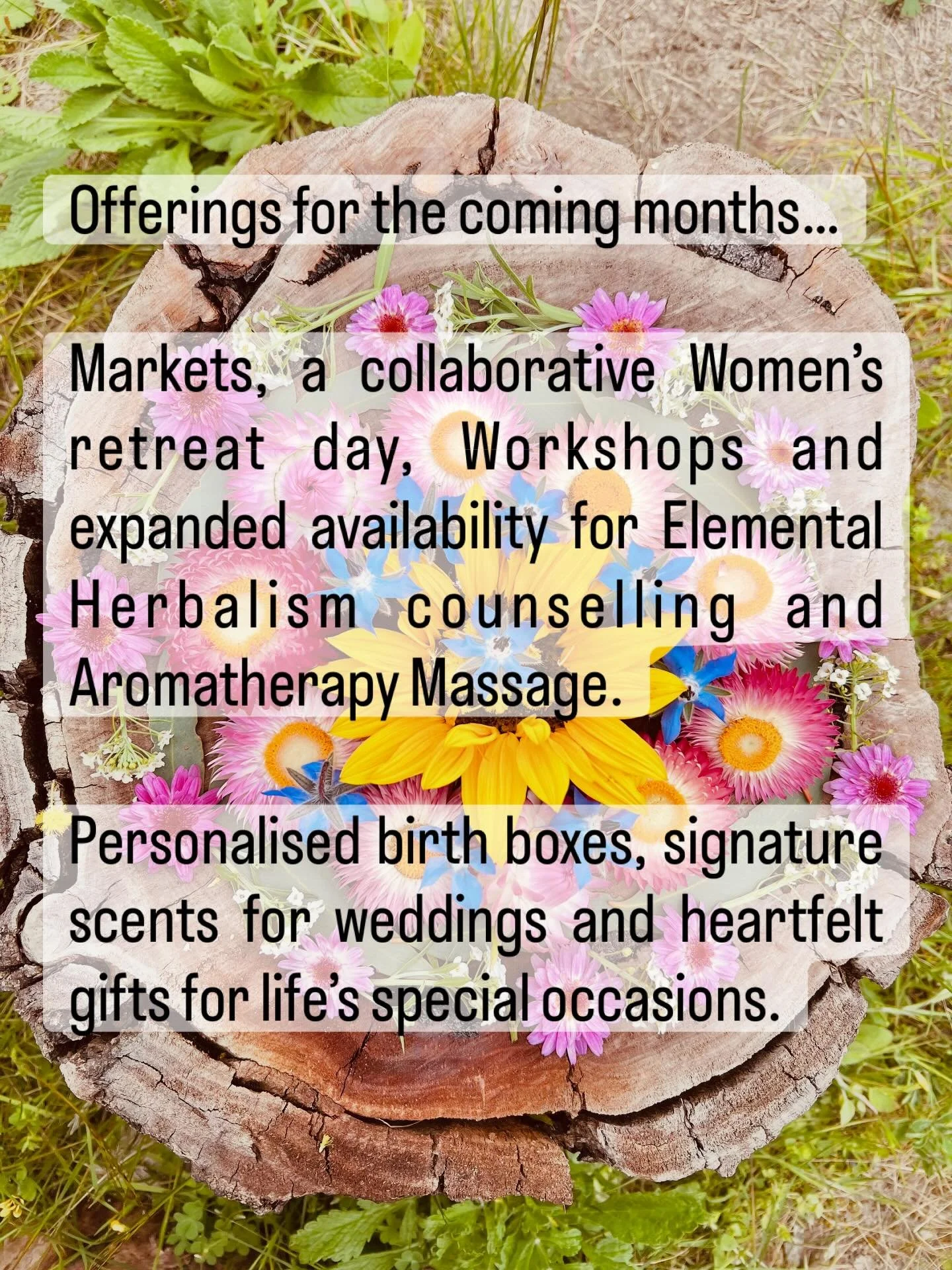 Building Community.

One market at a time.
One retreat at a time.
One workshop at a time.

#westcoast #eyrepeninsula #coffinbay