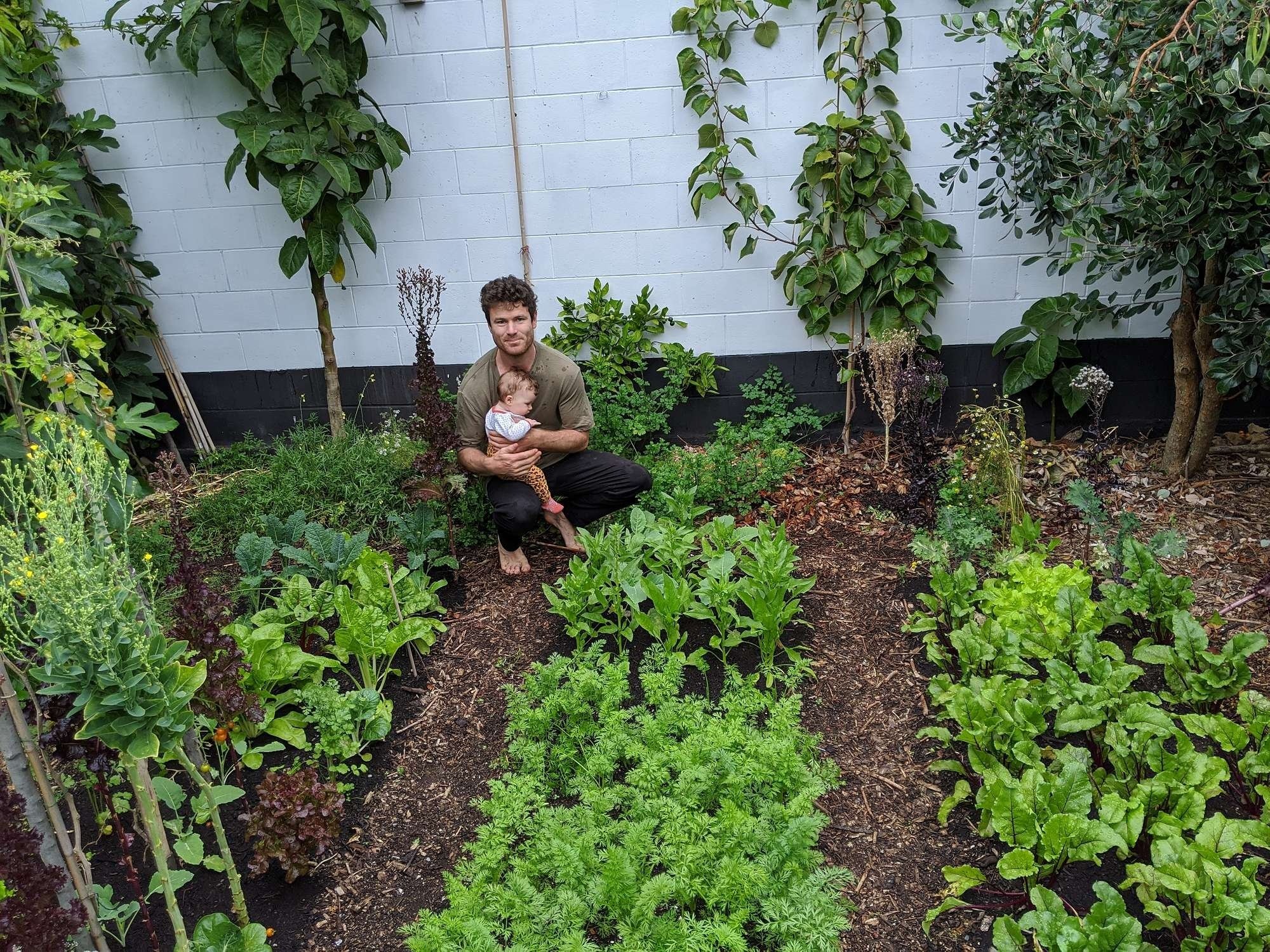 George St Orchard – Rory Harding’s Food Forest