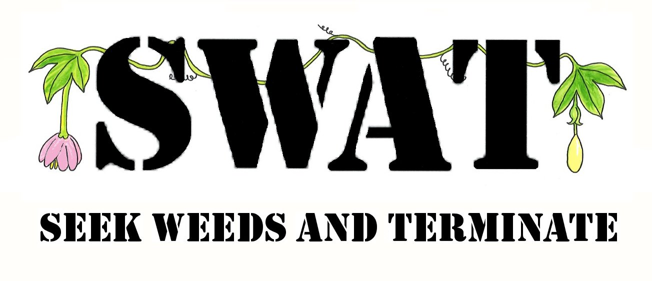 SWAT logo.jpg