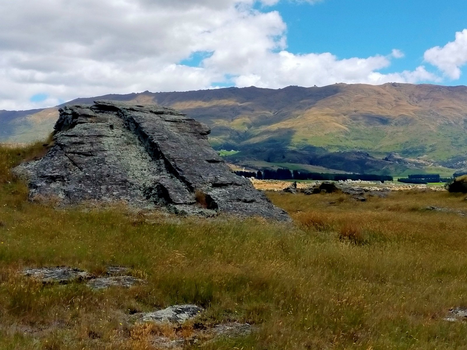  Looking towards the Rock and Pillar Range/Kopuwai. Image by: Suzanne Middleton 