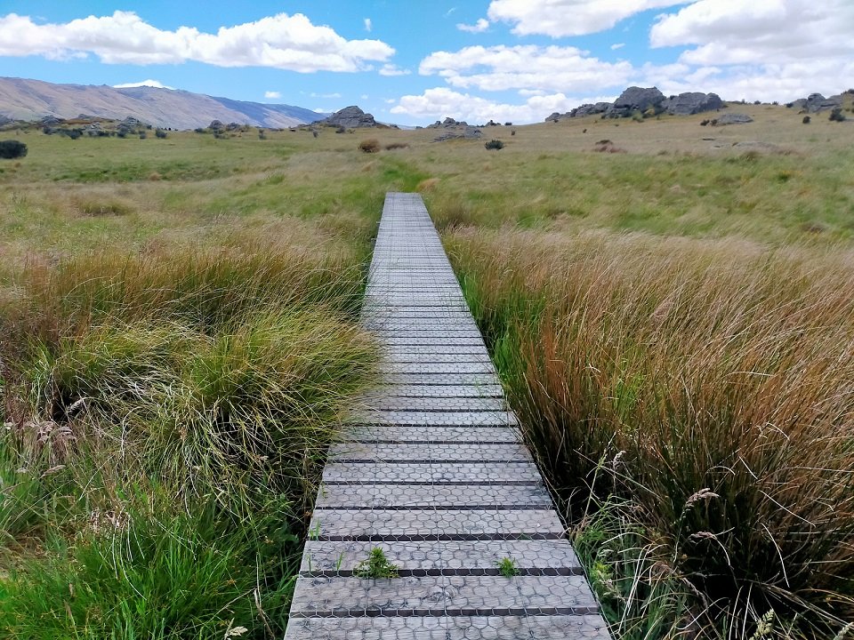  Boardwalk through the wetland. Image by: Suzanne Middleton 