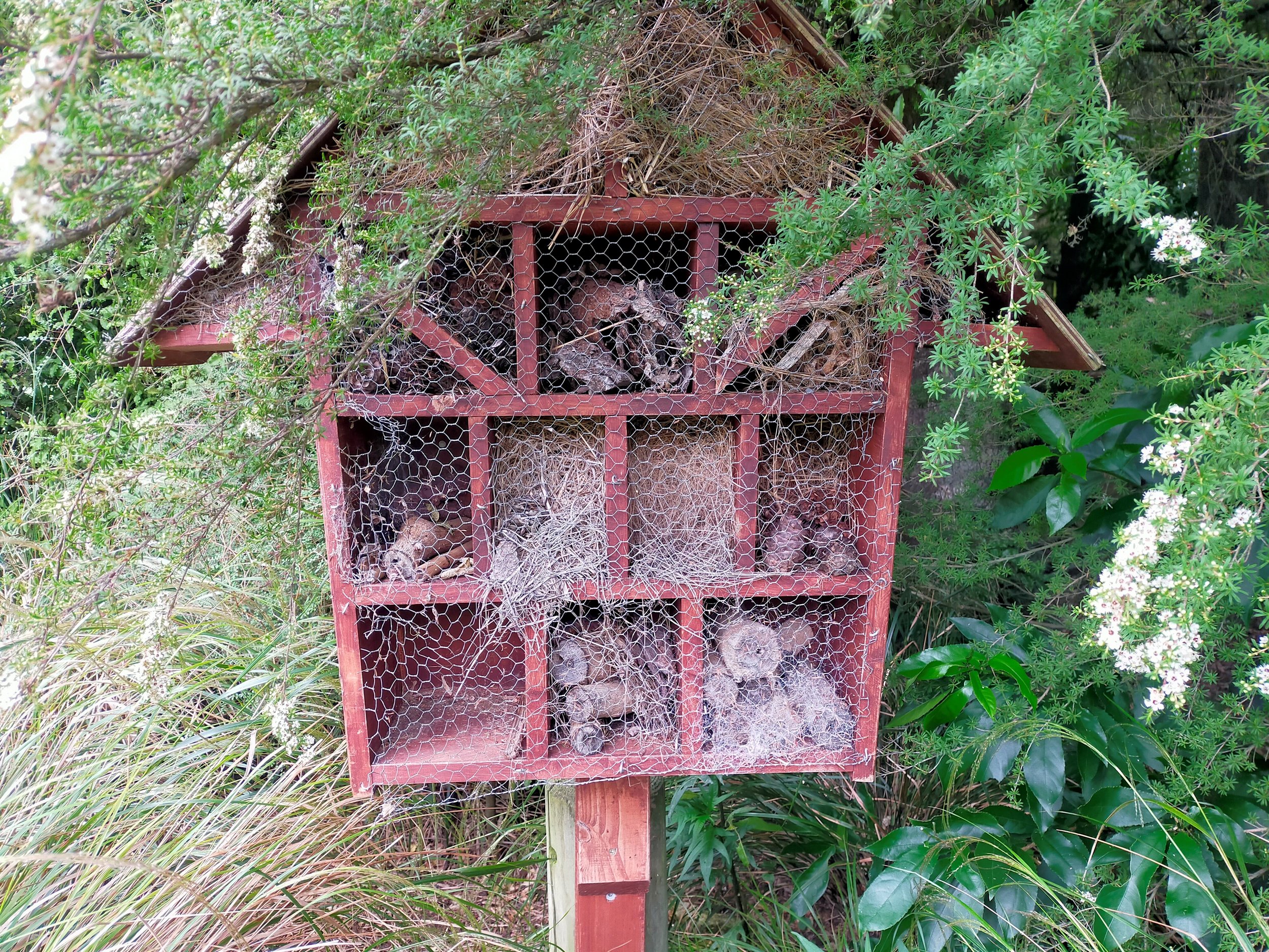 Insect hotel. Image by: Suzanne Middleton