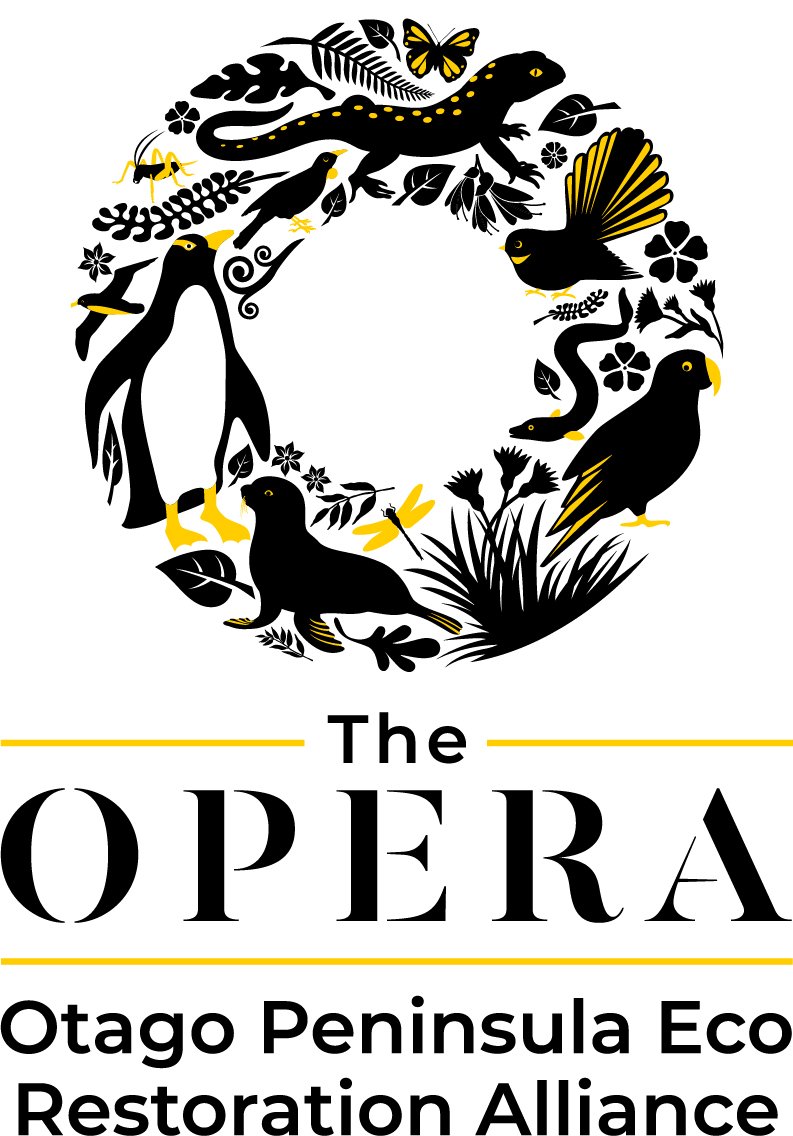 Opera Logo Stkd RGB.jpg