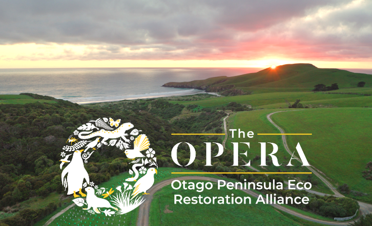 The opera logo over scenic.png