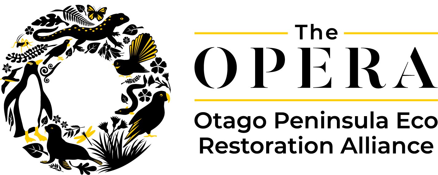 Opera Logo Horiz RGB.jpg