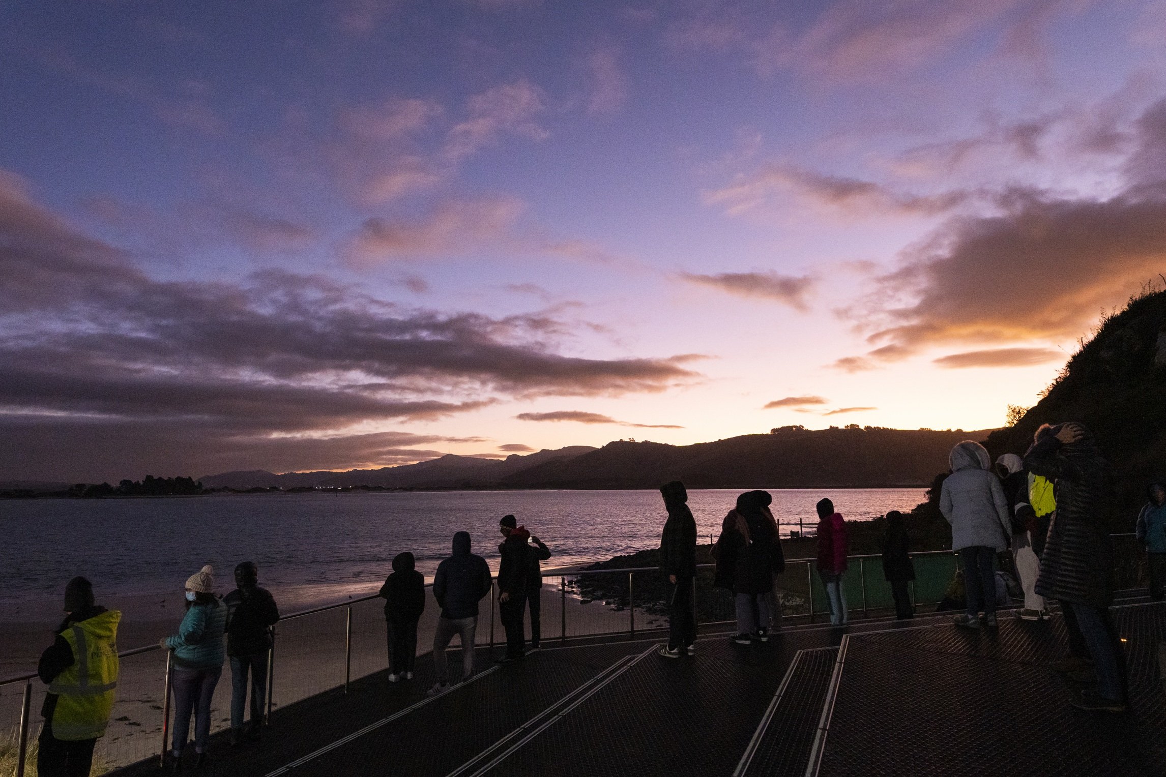 383769-attraction_bluepenguinspukekura_035_dunedinnz.jpg