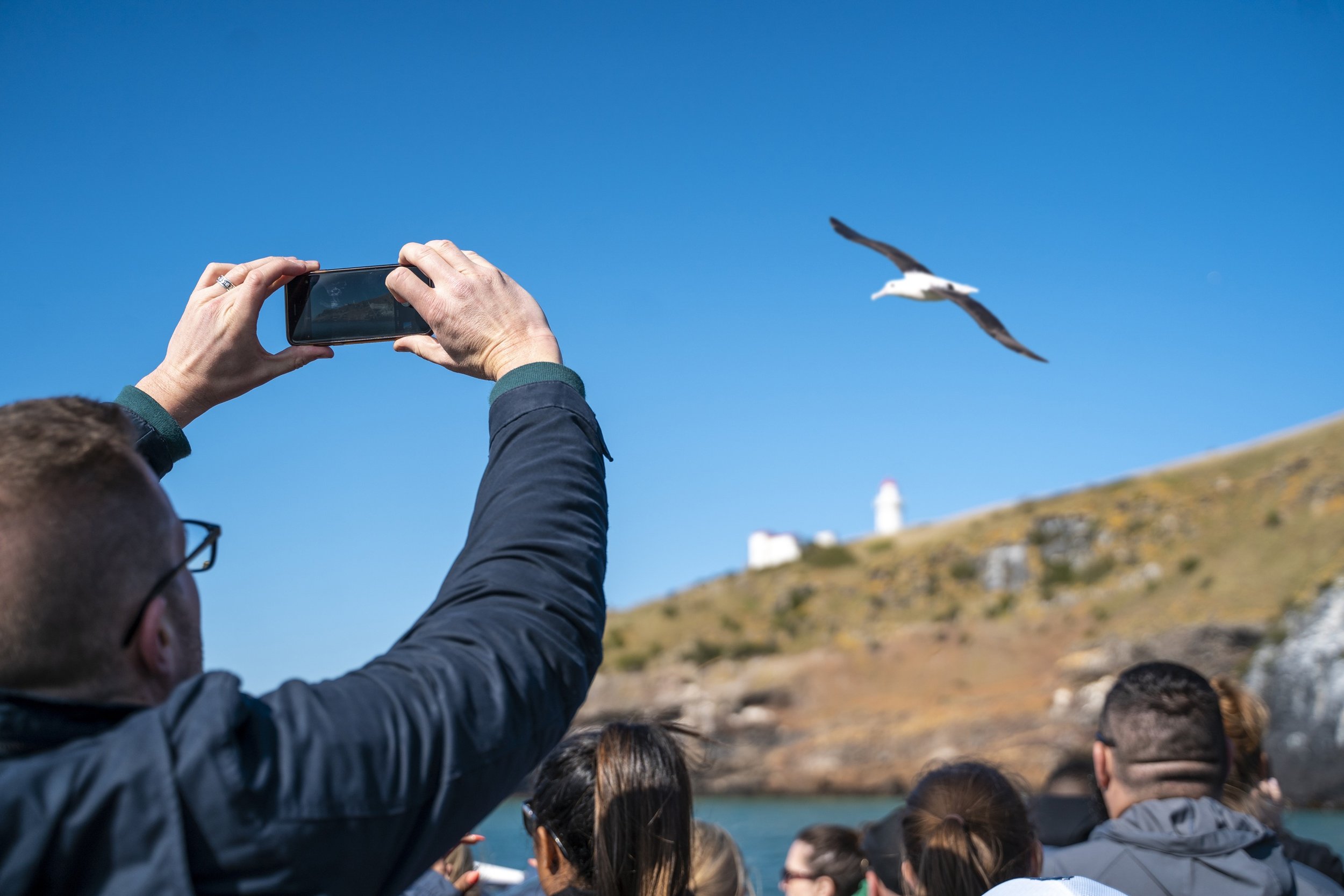 379248-attractions_monarchwildlifecruise_013_dunedinnz.jpg