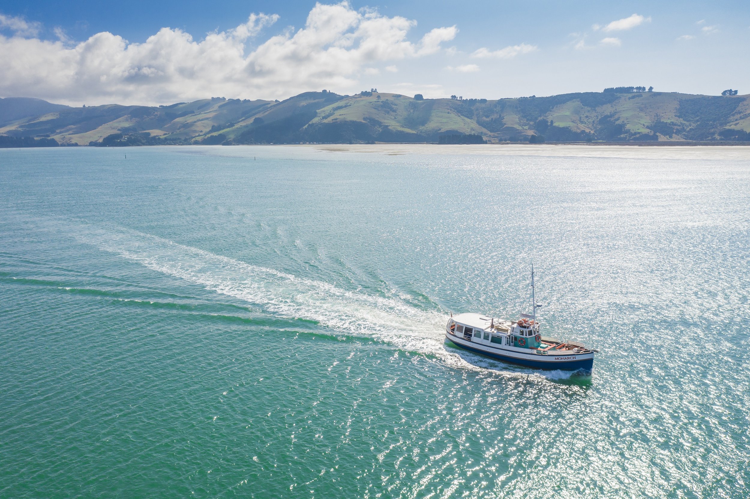 379238-attractions_monarchwildlifecruise_004_dunedinnz.jpg