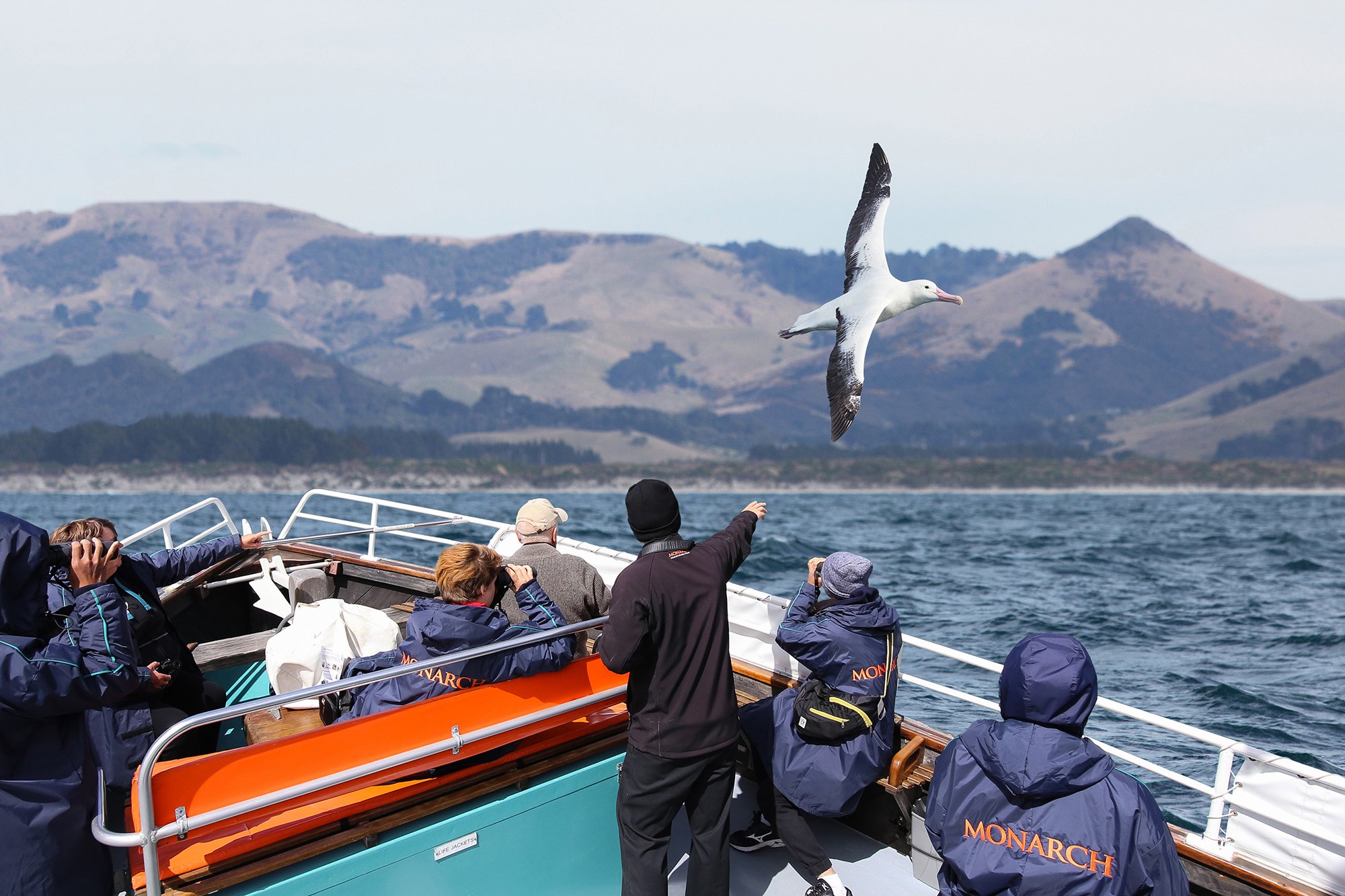 Monarch Wildlife Cruises