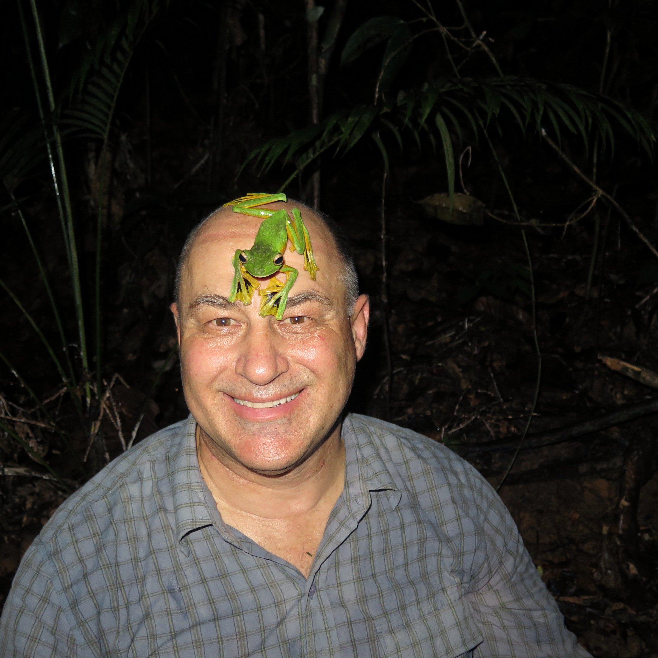 IMG_2259-Wallaces-frog-on-Phil_s-face-Brunei.jpg