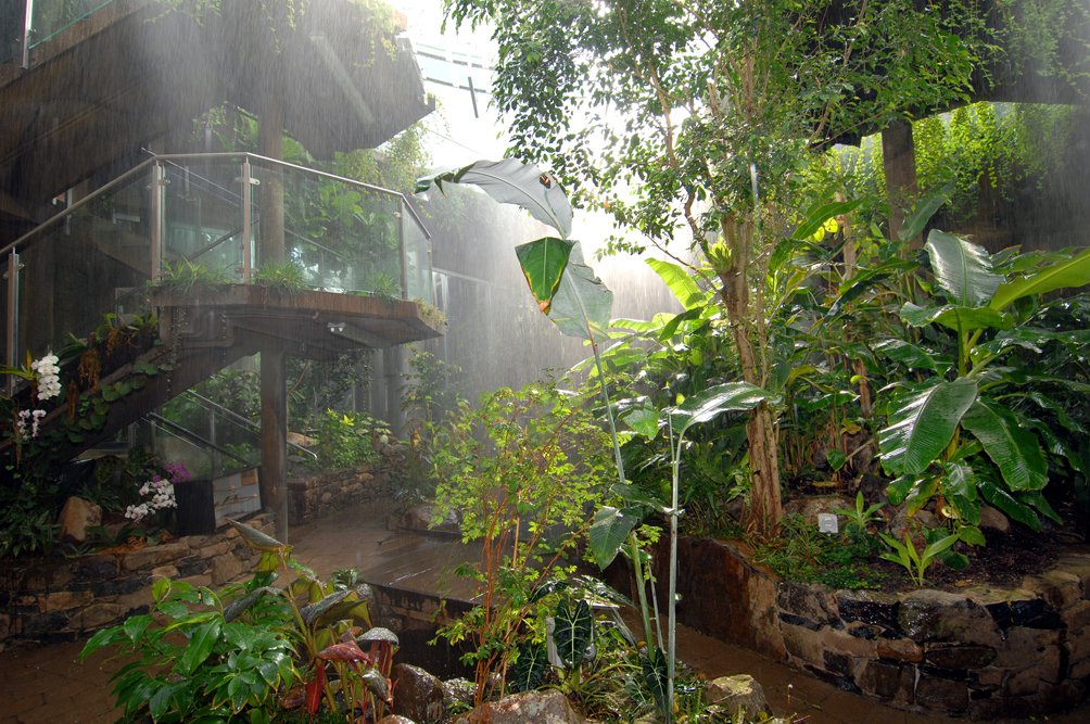 No Rain.jpg