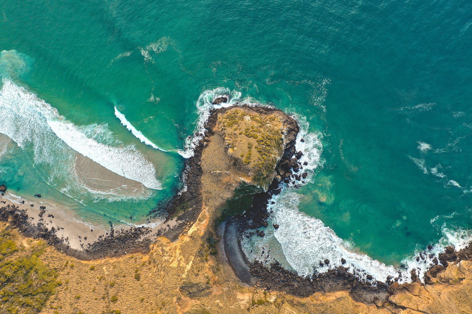 Places to Visit — Wild Dunedin