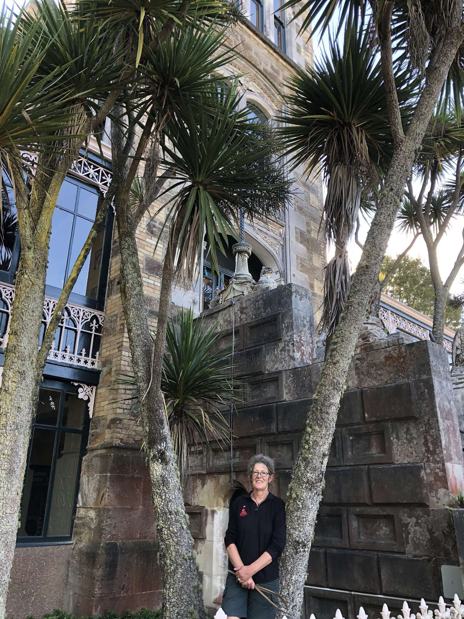 Larnach Castle's Native Plants — Wild Dunedin