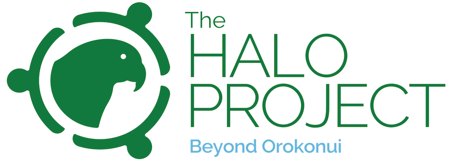 Halo Project logo small.PNG