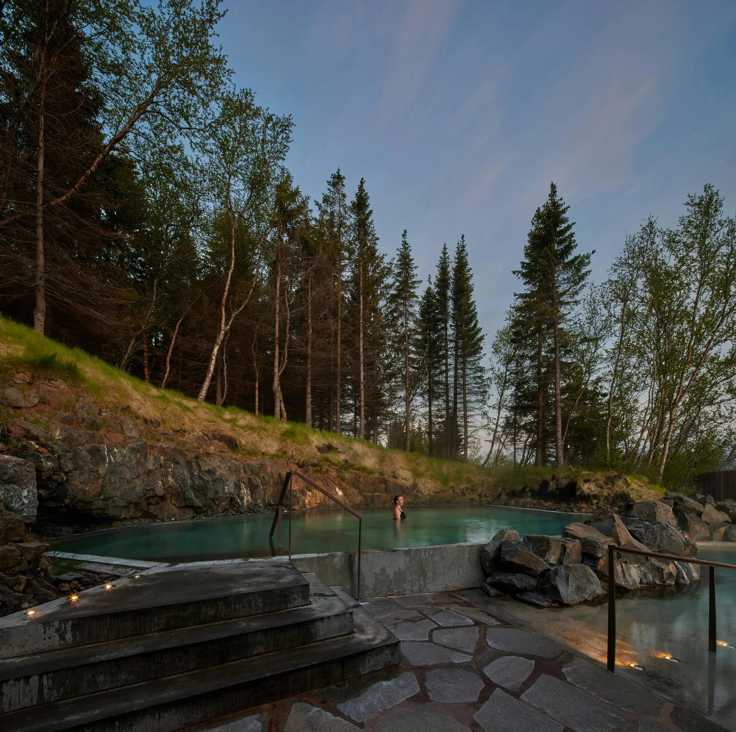 Forest lagoon.webp