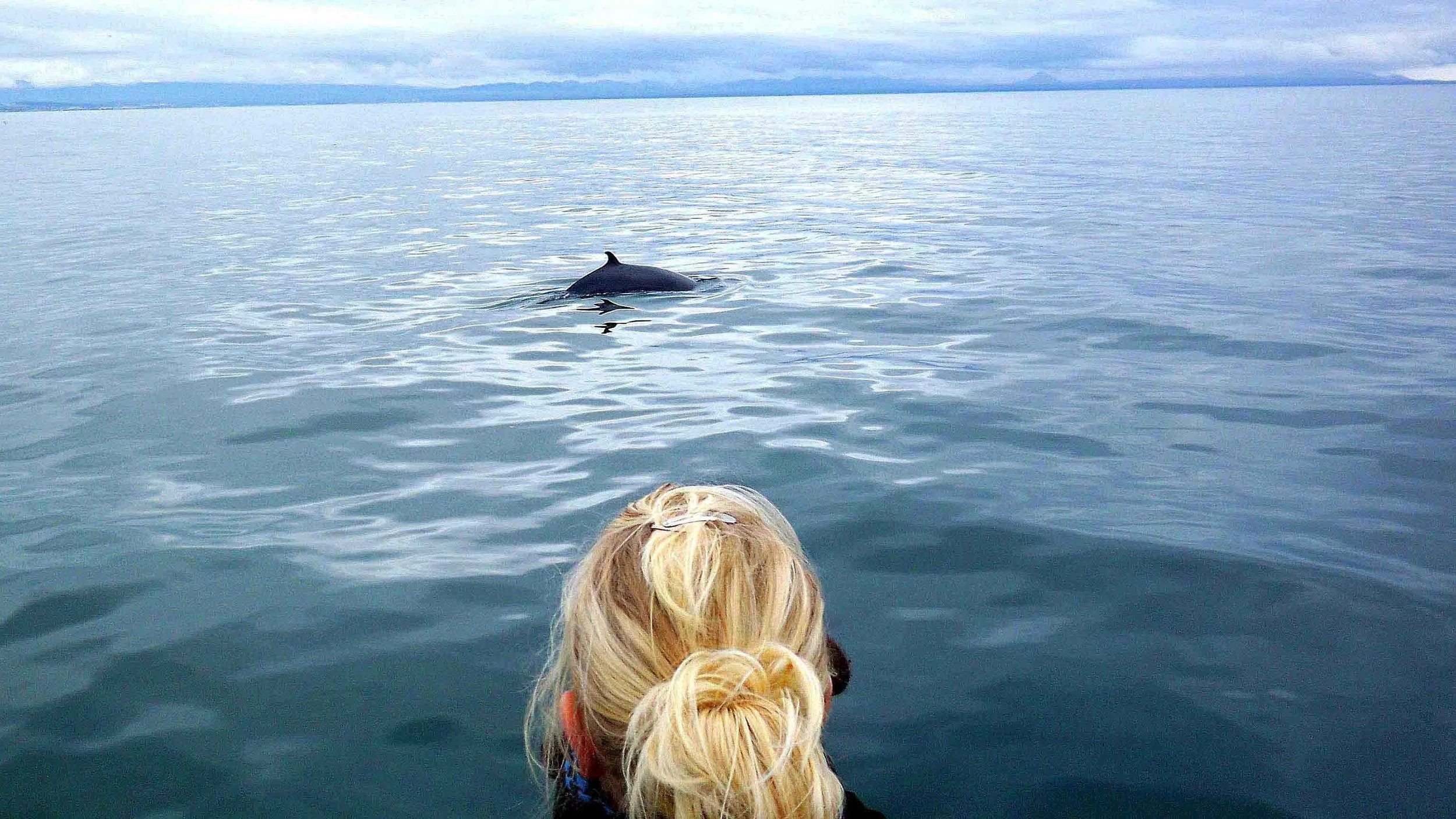 Utflykter på Island - Islandia Resor
