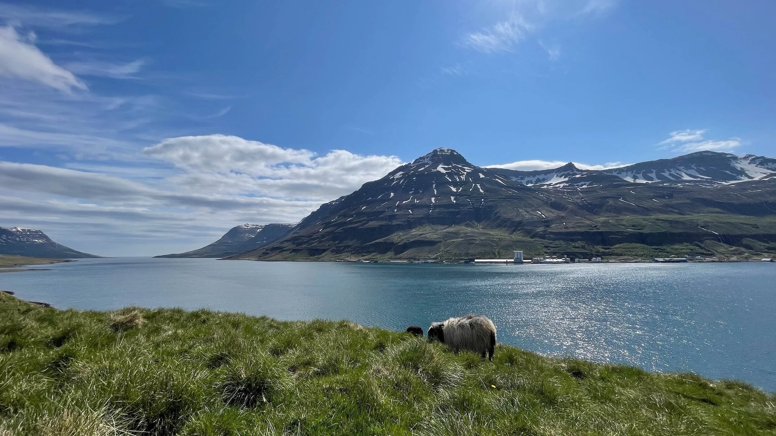 Fjord på norra Island