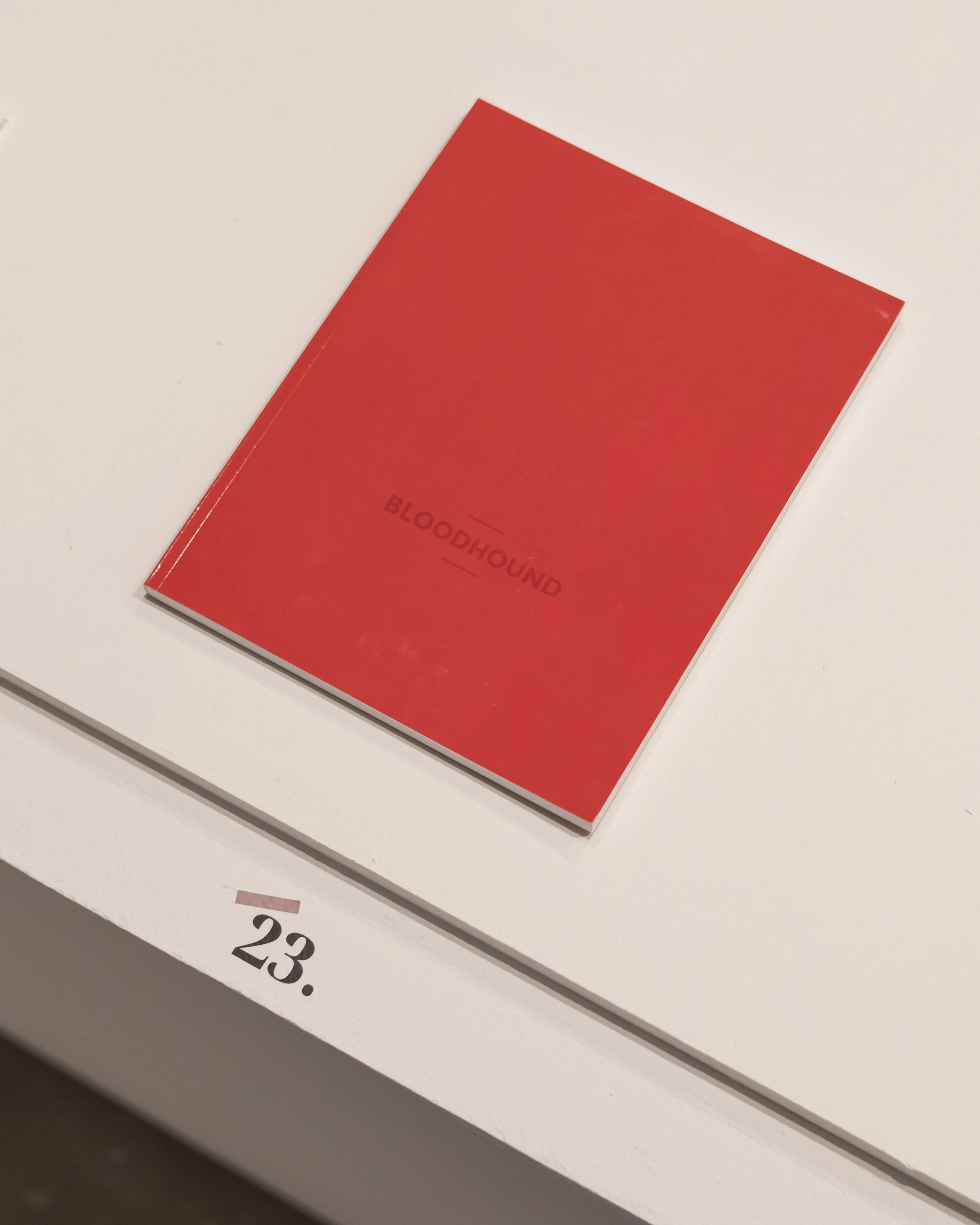 BLOODHOUND at ICP Photobook Exhibition