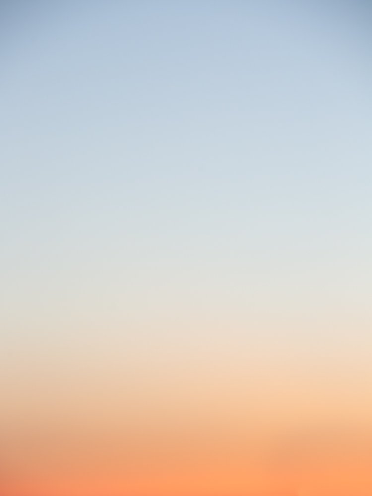 WUWTS_SkyPalette_G1A9966 .jpg