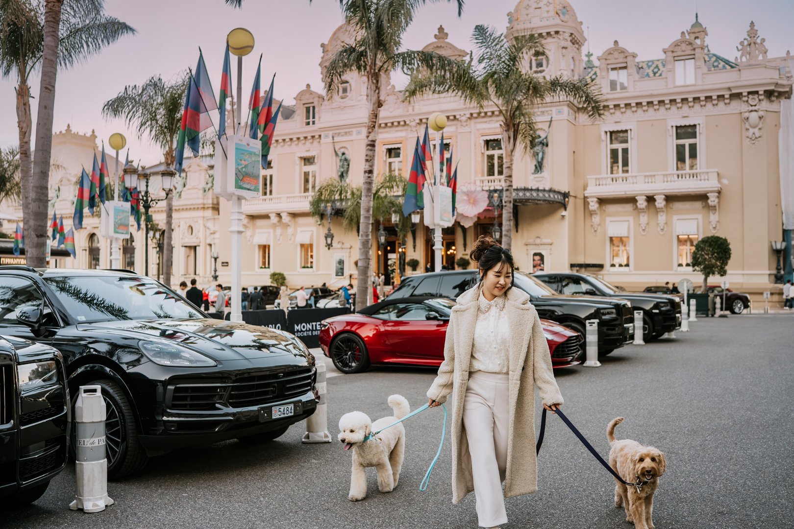 Monte Carlo Pet Portraits