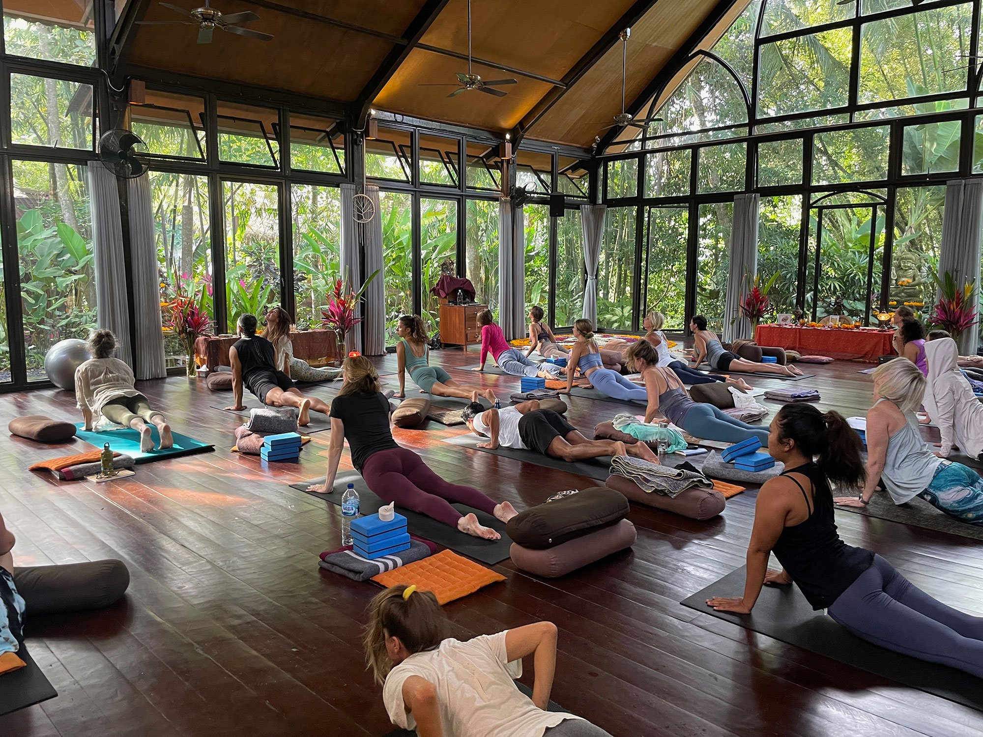 100hr Embodied Trauma Integration Yoga Teacher Training — HELD