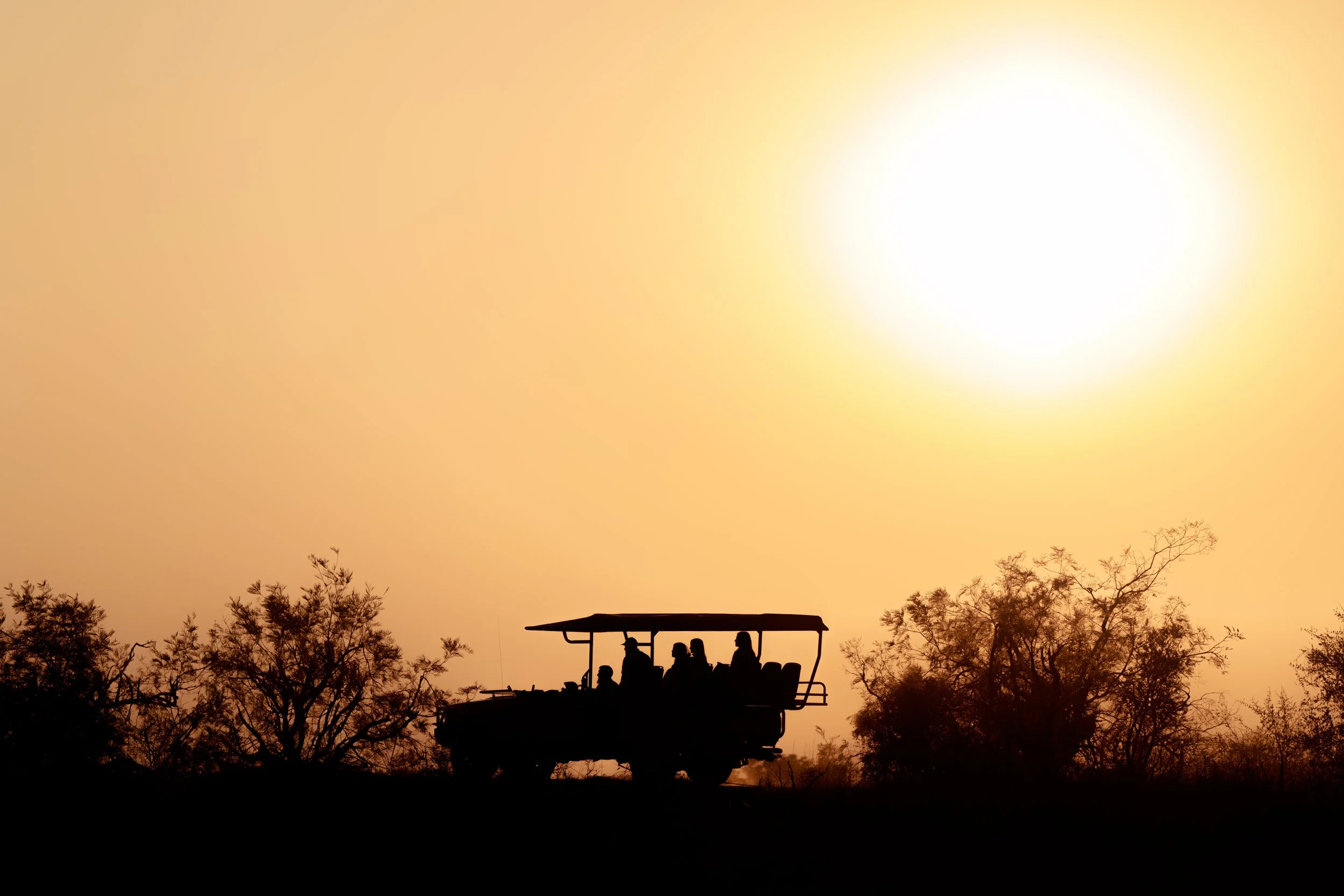 Game Drive .jpg