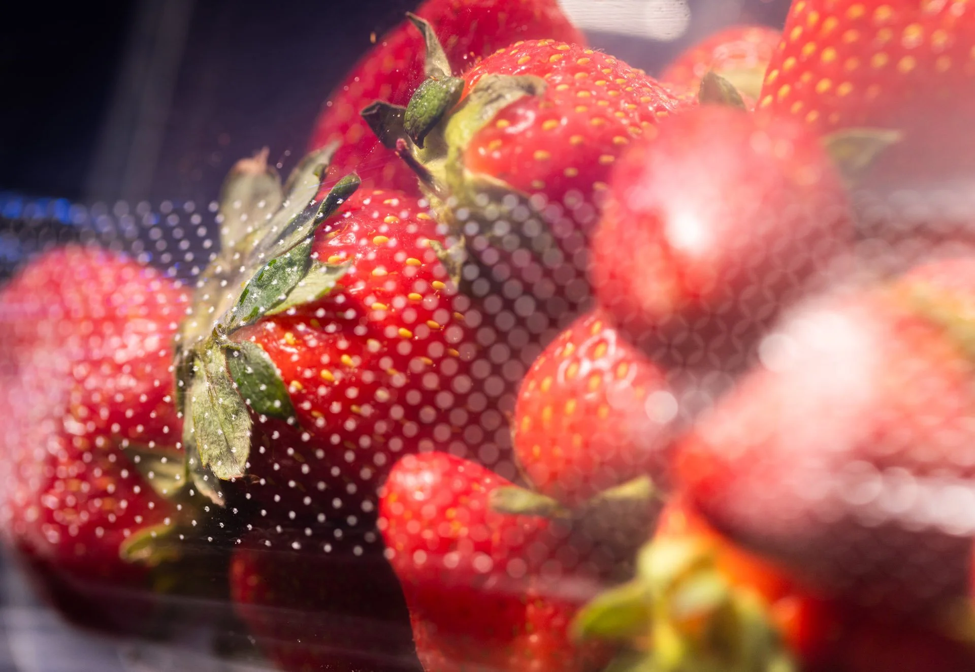 Fruit pallets wrapped in ExcelAir breathable pallet wrap extending freshness and reducing spoilage