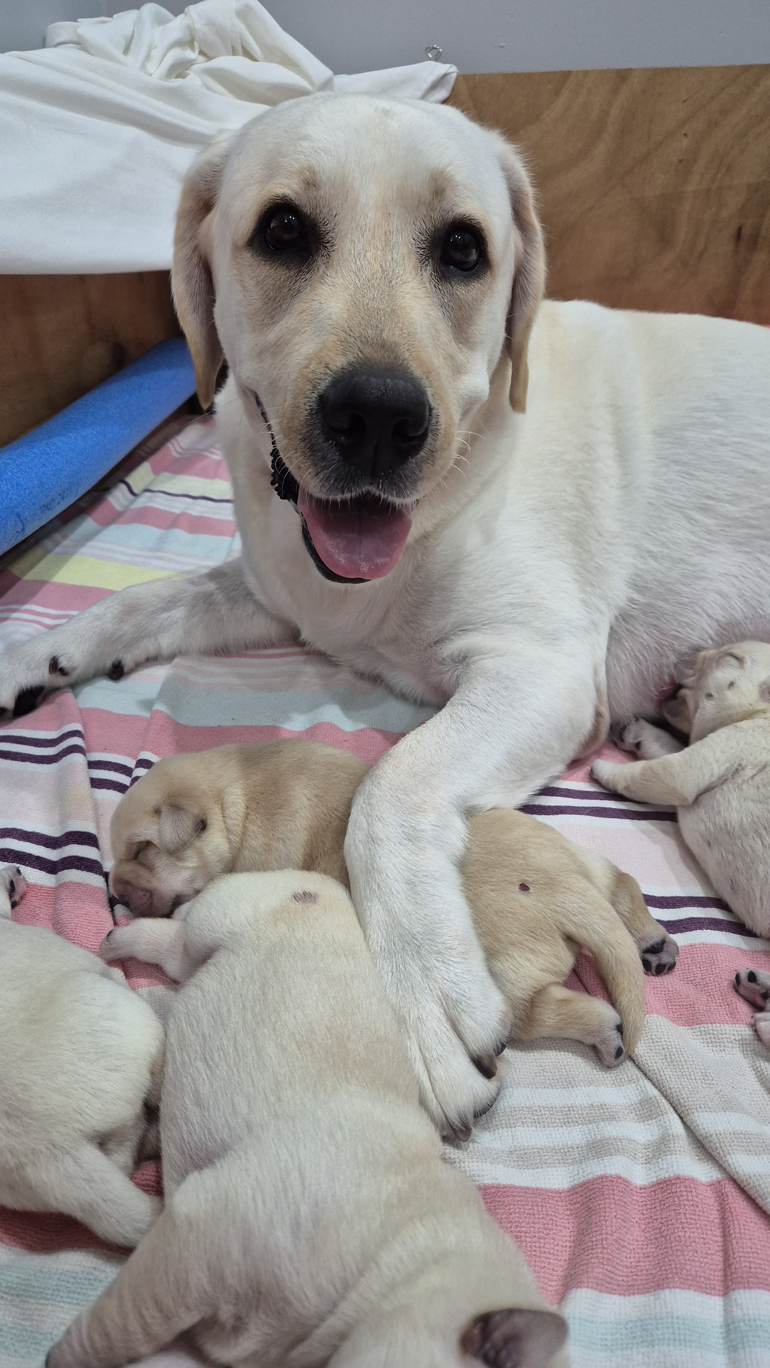 Reggie, an awesome first time mum.