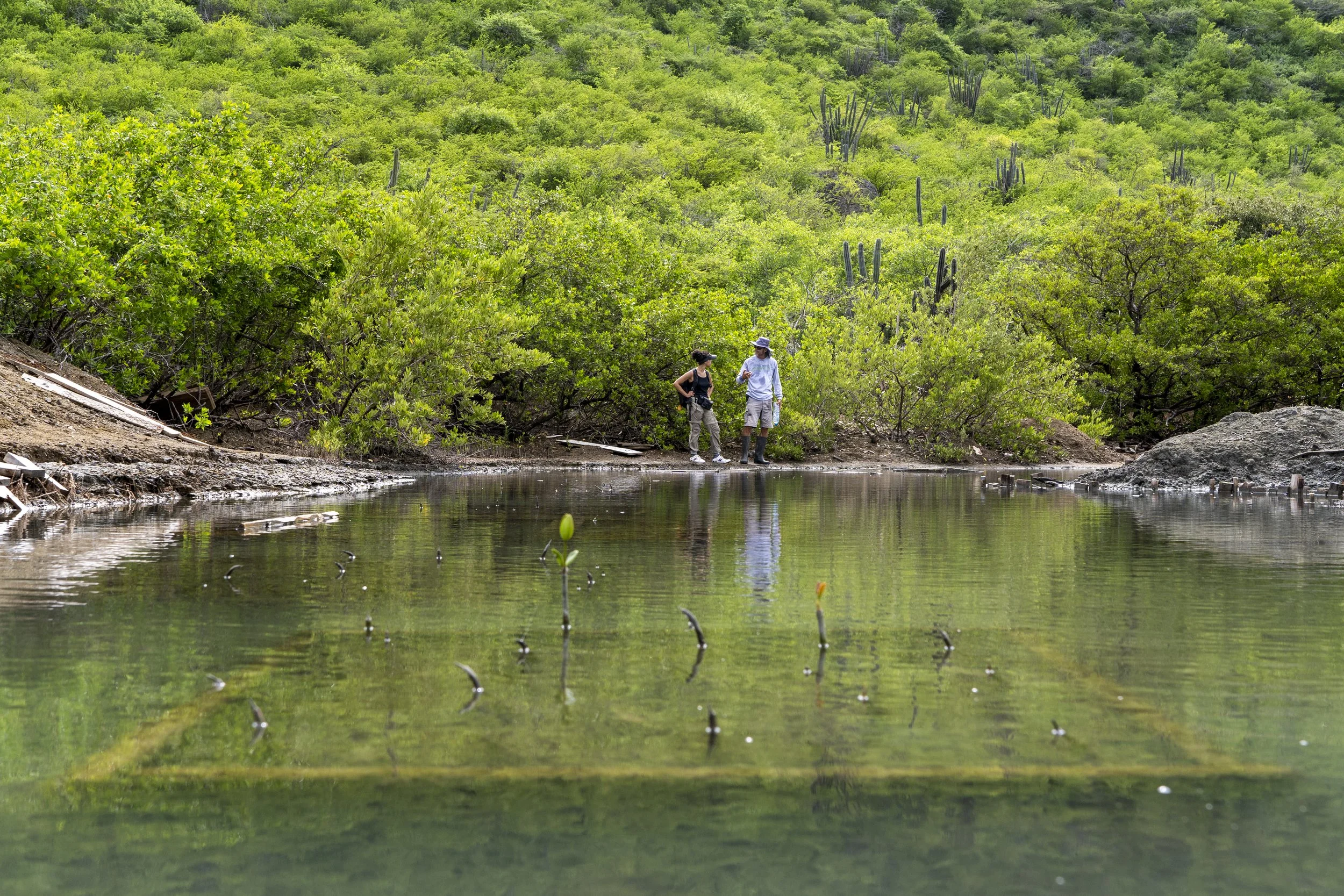 JPA_20231122_3915 - Copy.jpg