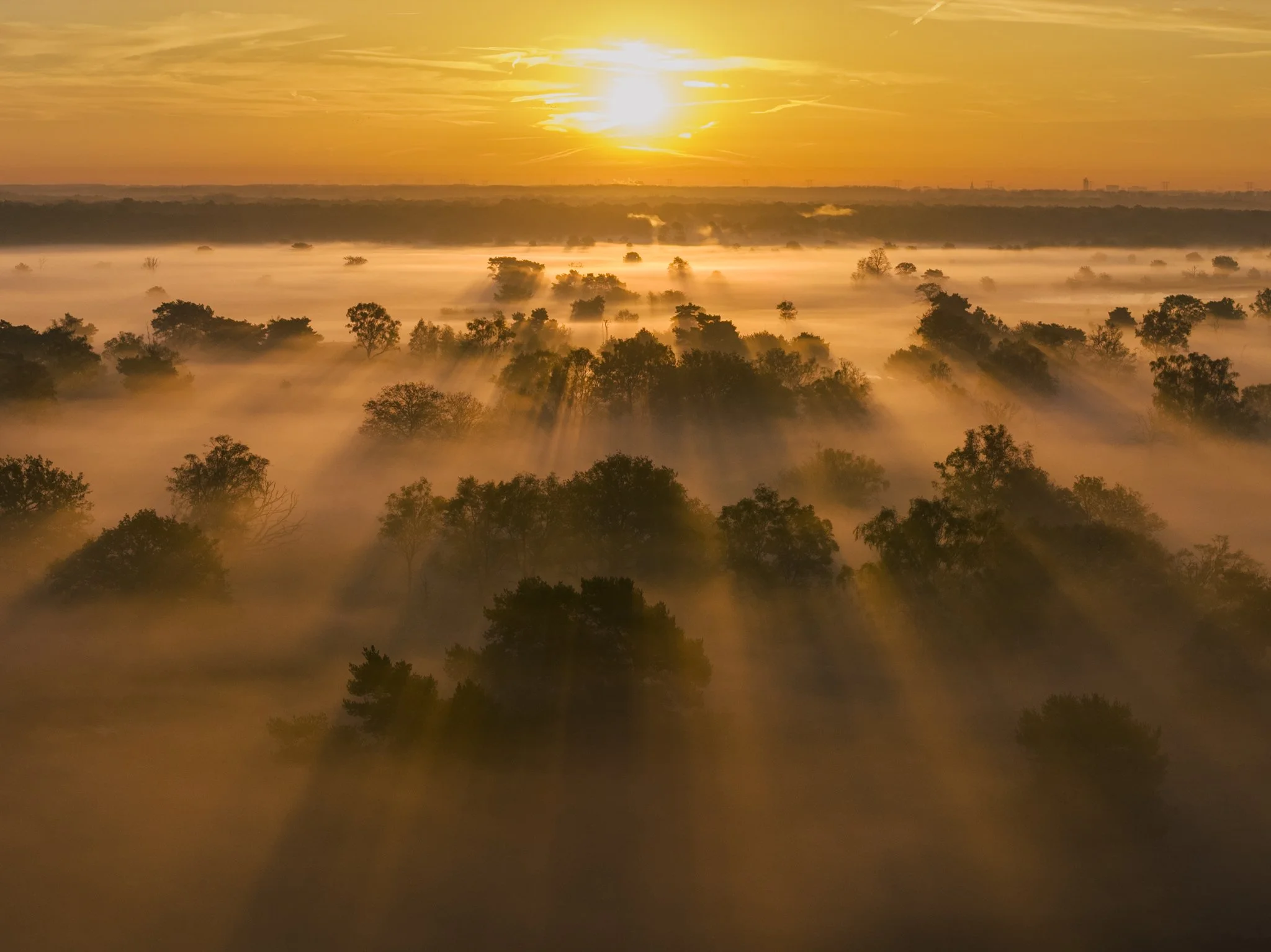 DJI_20251107075747_0151_D.jpg