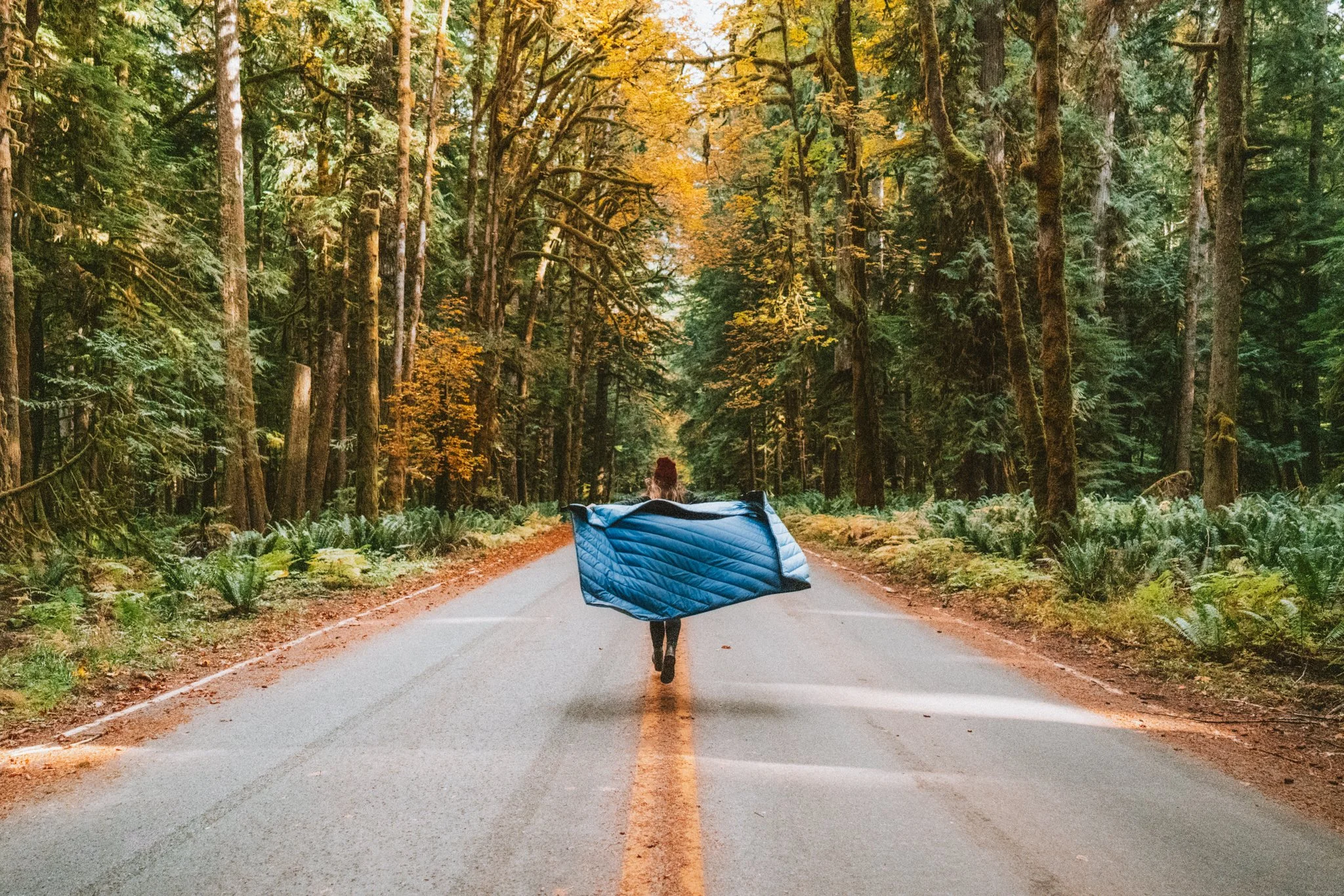 Best Places to See Fall Colors in the Olympic National Park — Sky Frost