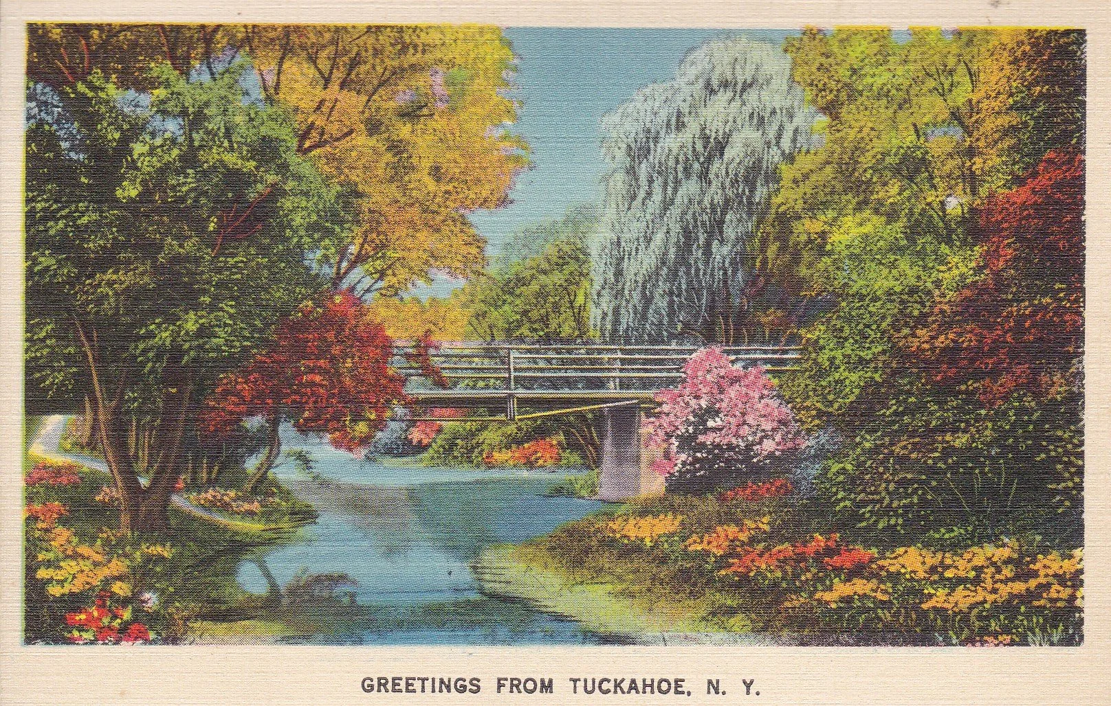 Pic-1004c (Bronx River)