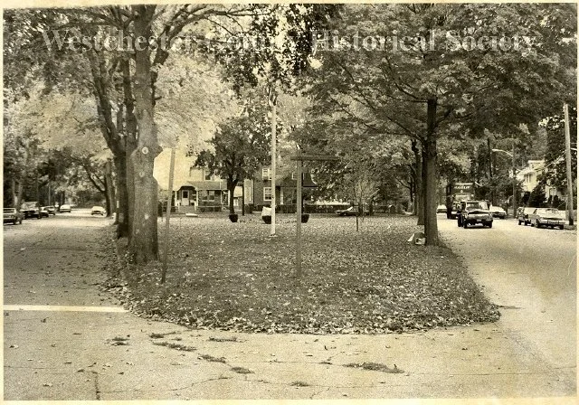 Pic-26 (Triangle Park, between Armour Villa & Lake Ave)