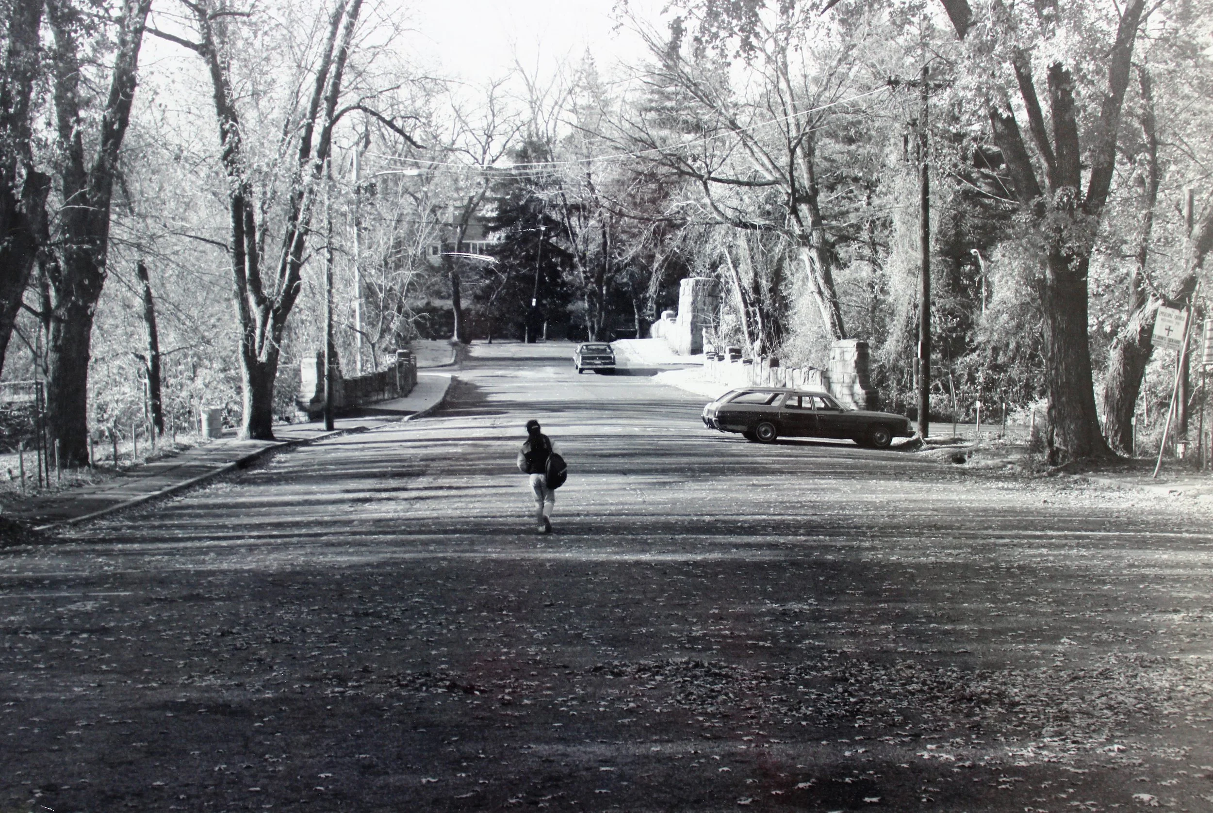 Pic-150 (Crestwood Train Station looking west from back of station)