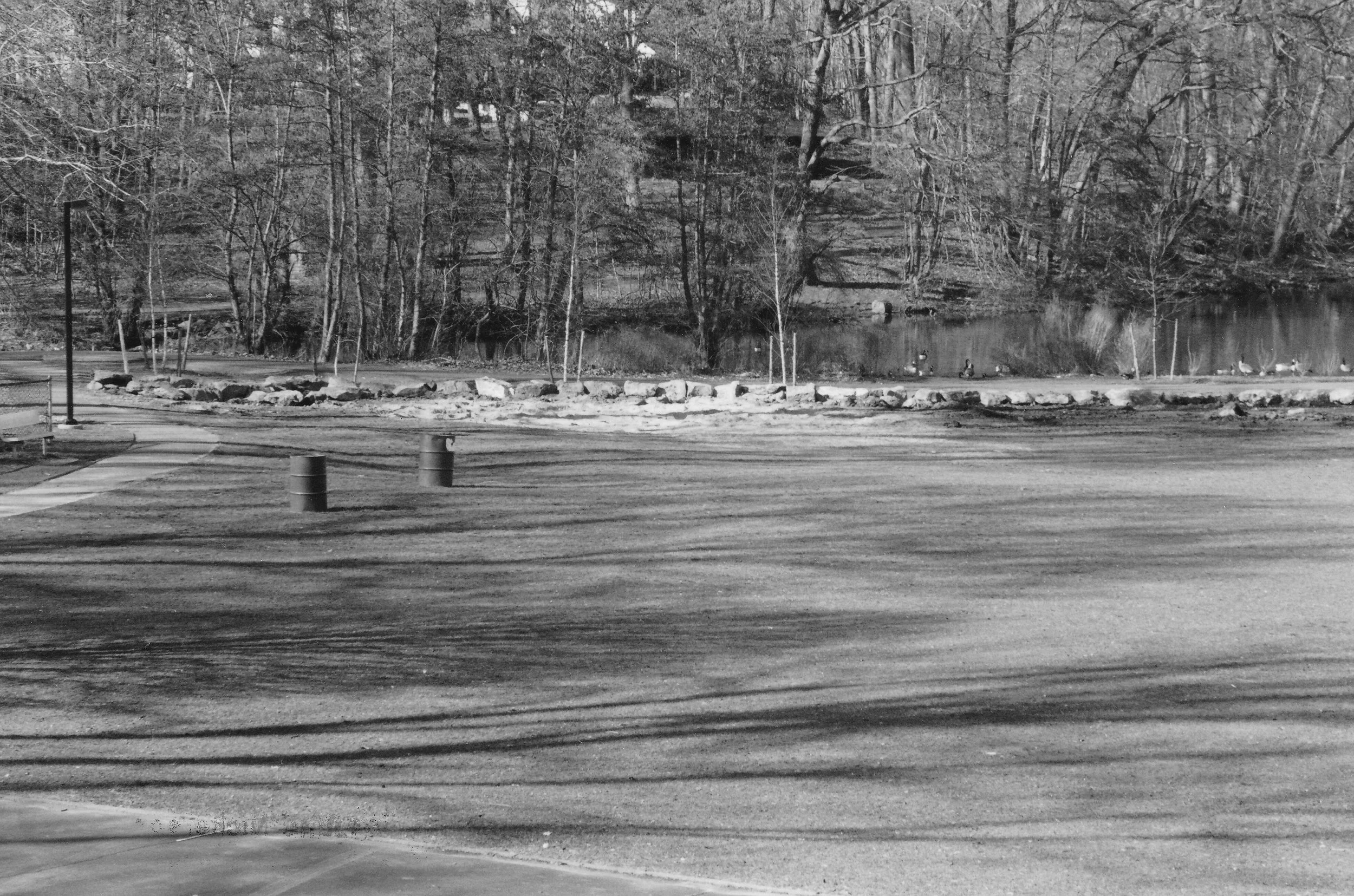 Pic-1017 (Parkway Oval)