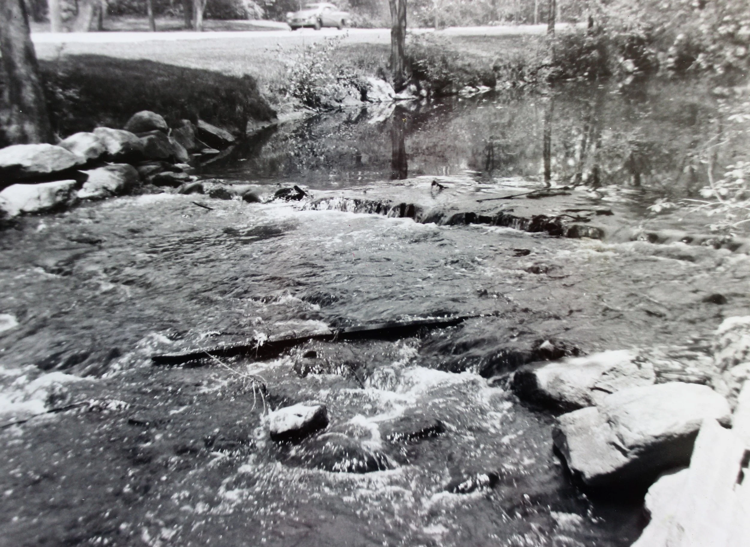 Pic-252 (Bronx River, near Crestwood Station)