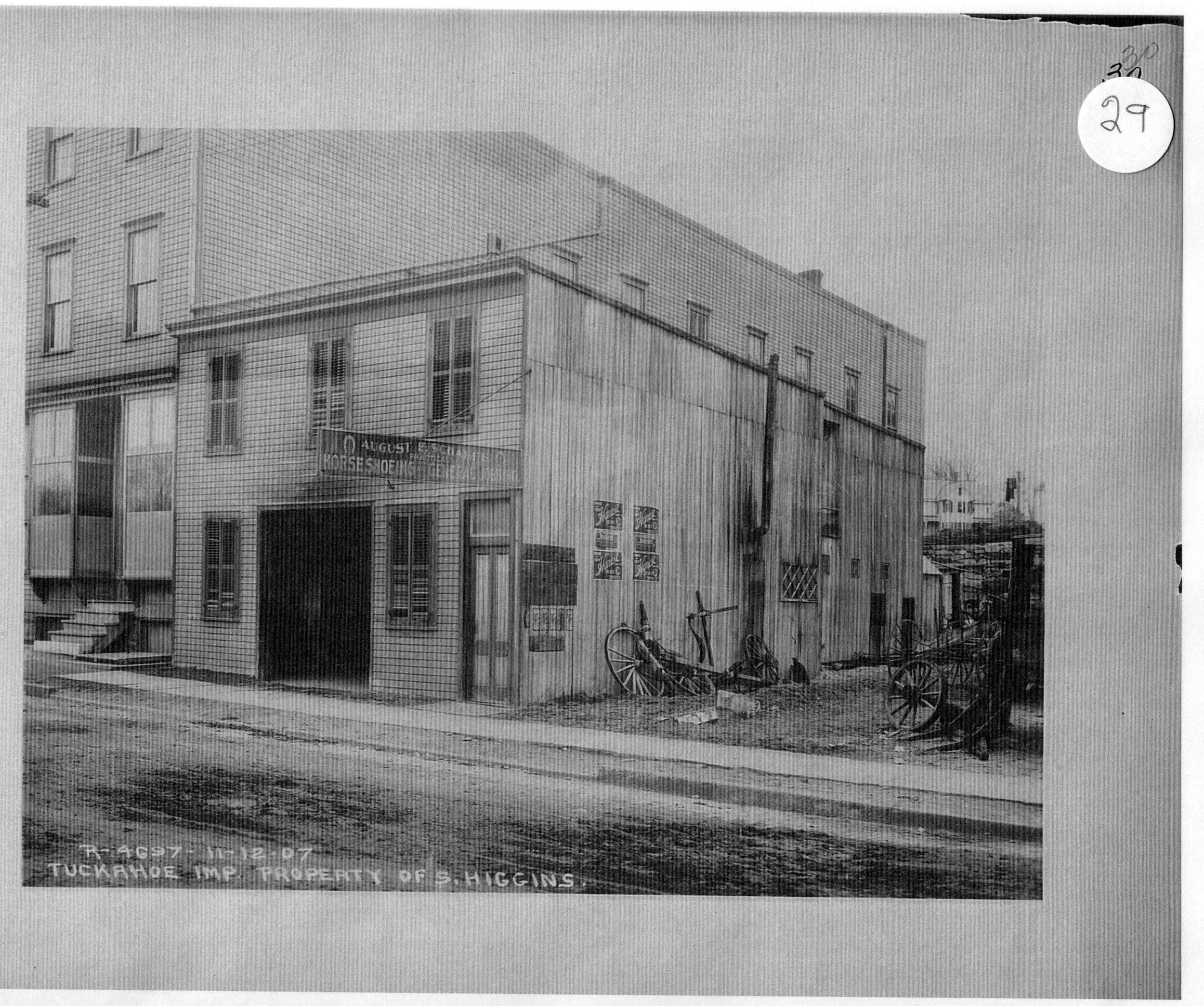 Pic-686 (Horse Shoeing)