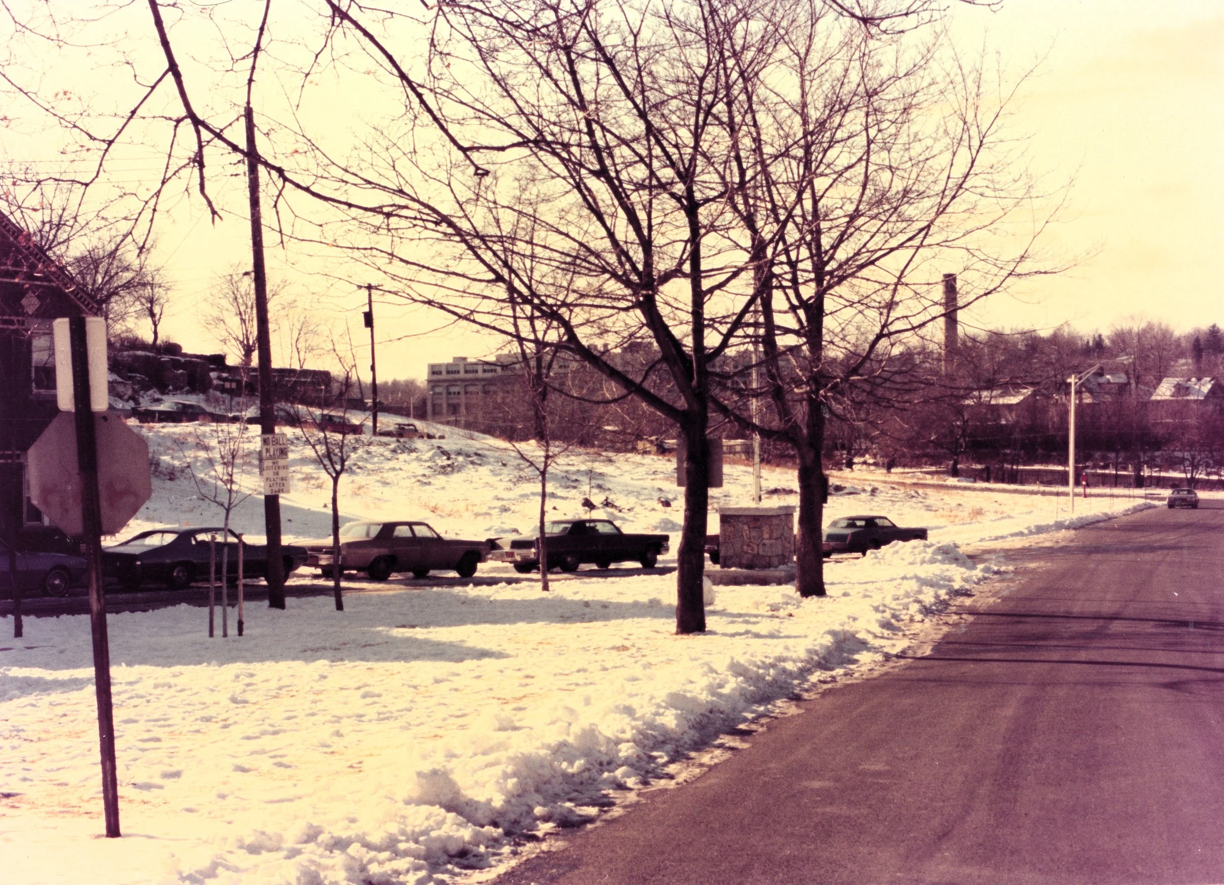 Pic-773 (Snow and Cars)