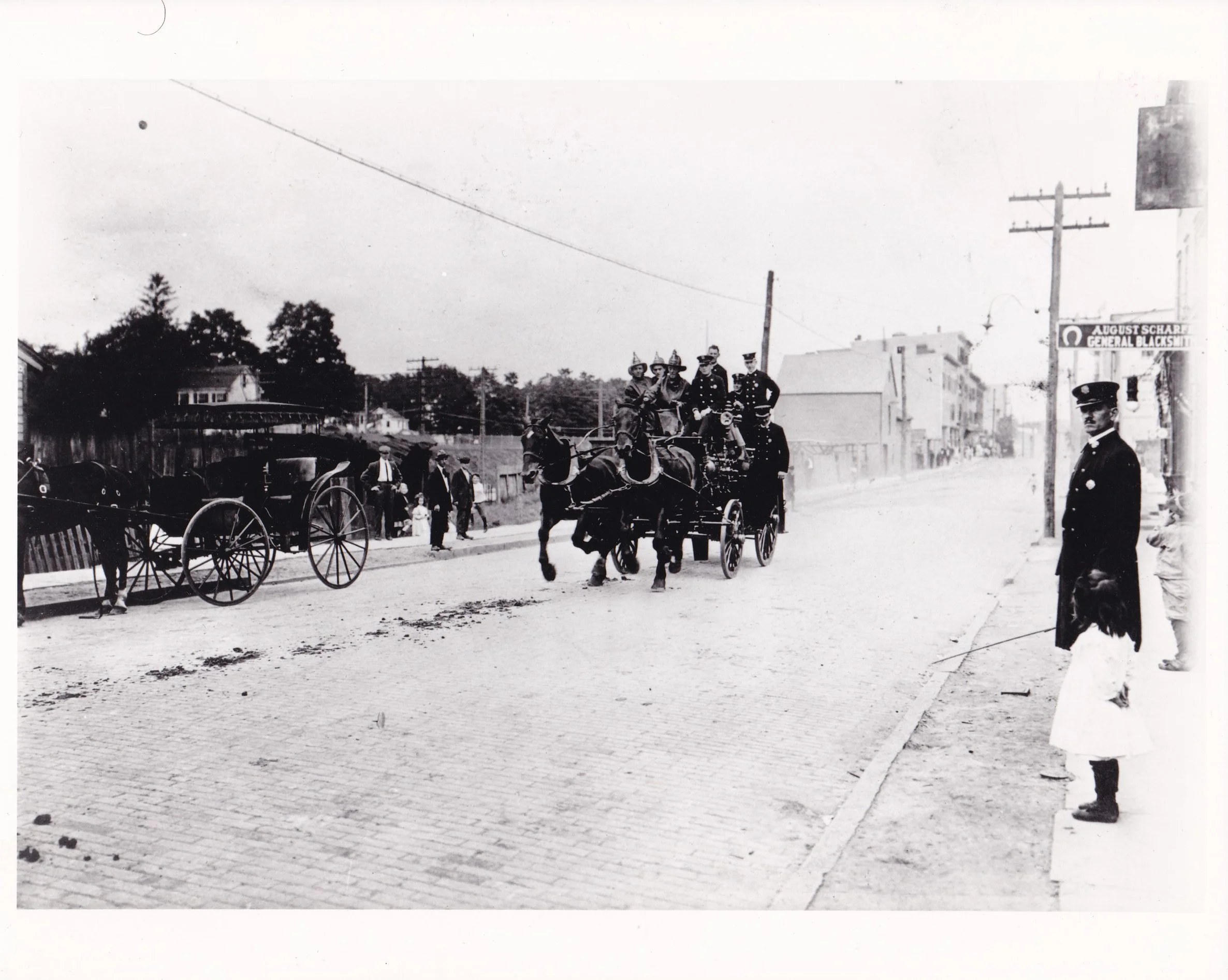 Pic-516 (Horses Pulling Carriage)