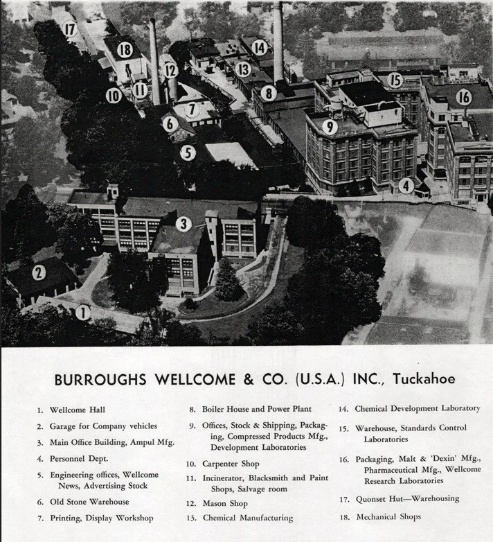 Pic-575 (Info Sheet)