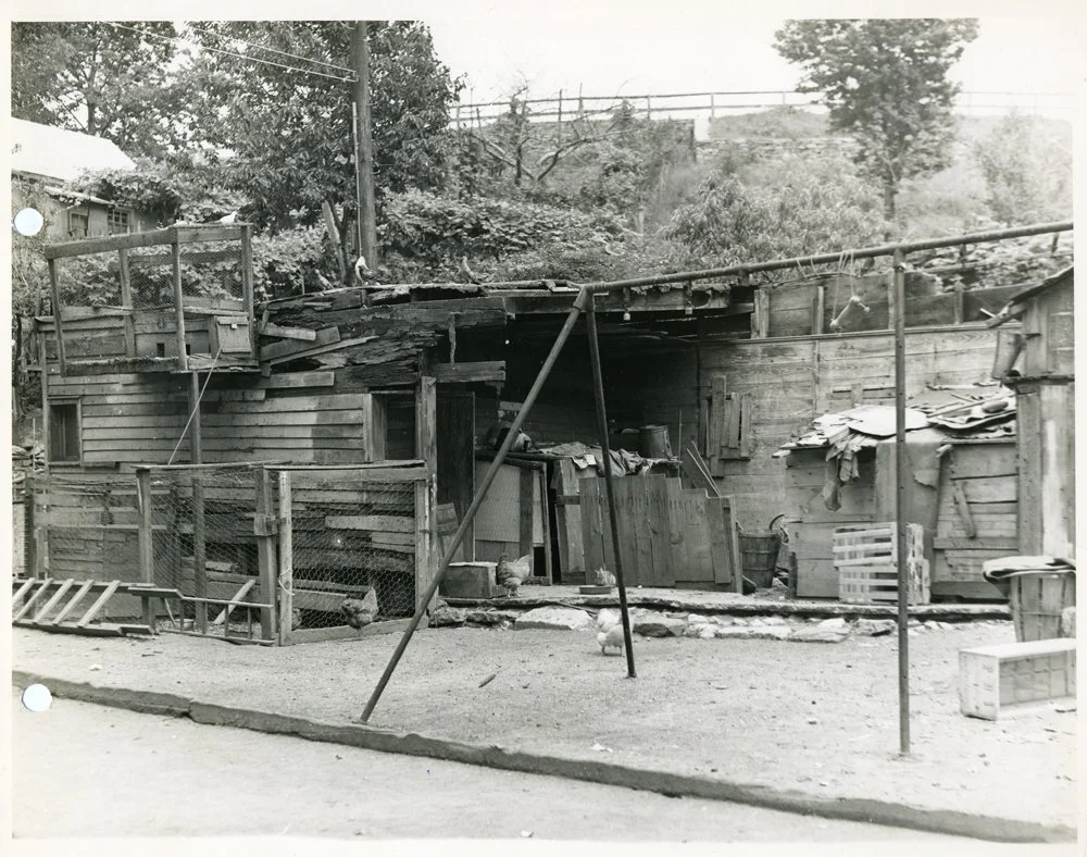 Pic-594 (Chicken Coop)