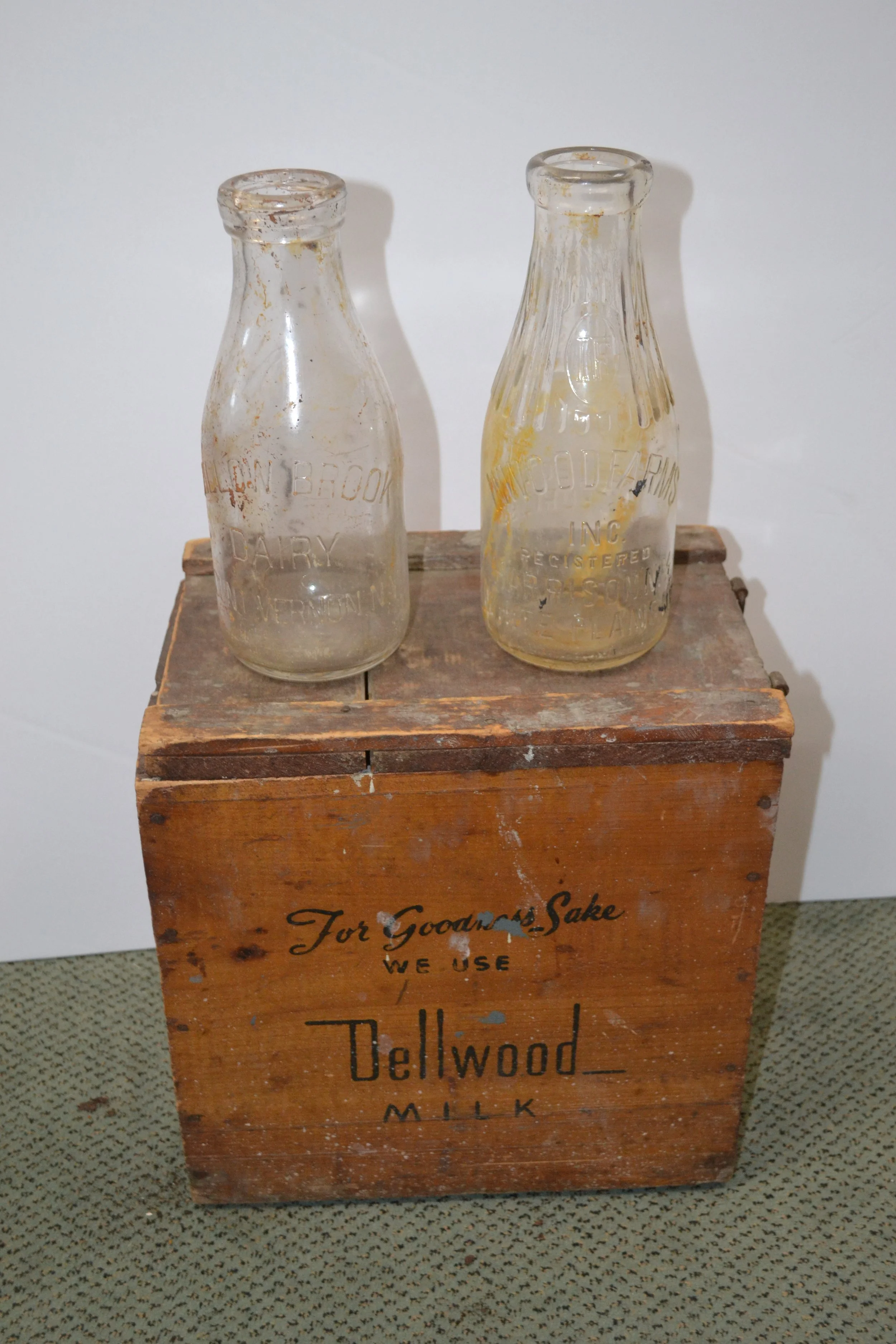 Arf-5a (Milk Box, w 2 bottles). JPG