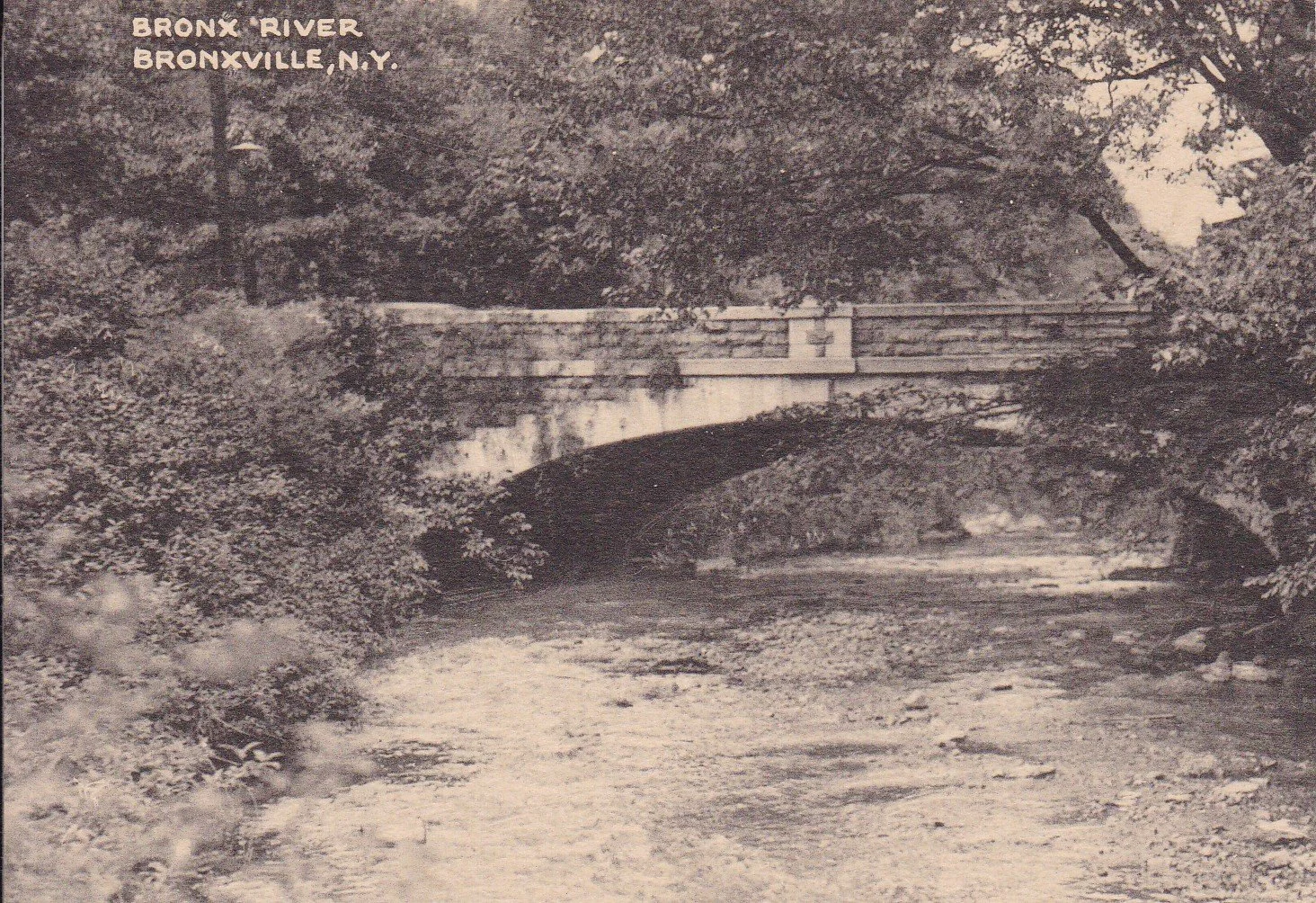 Pic-1011 (Bronx River)