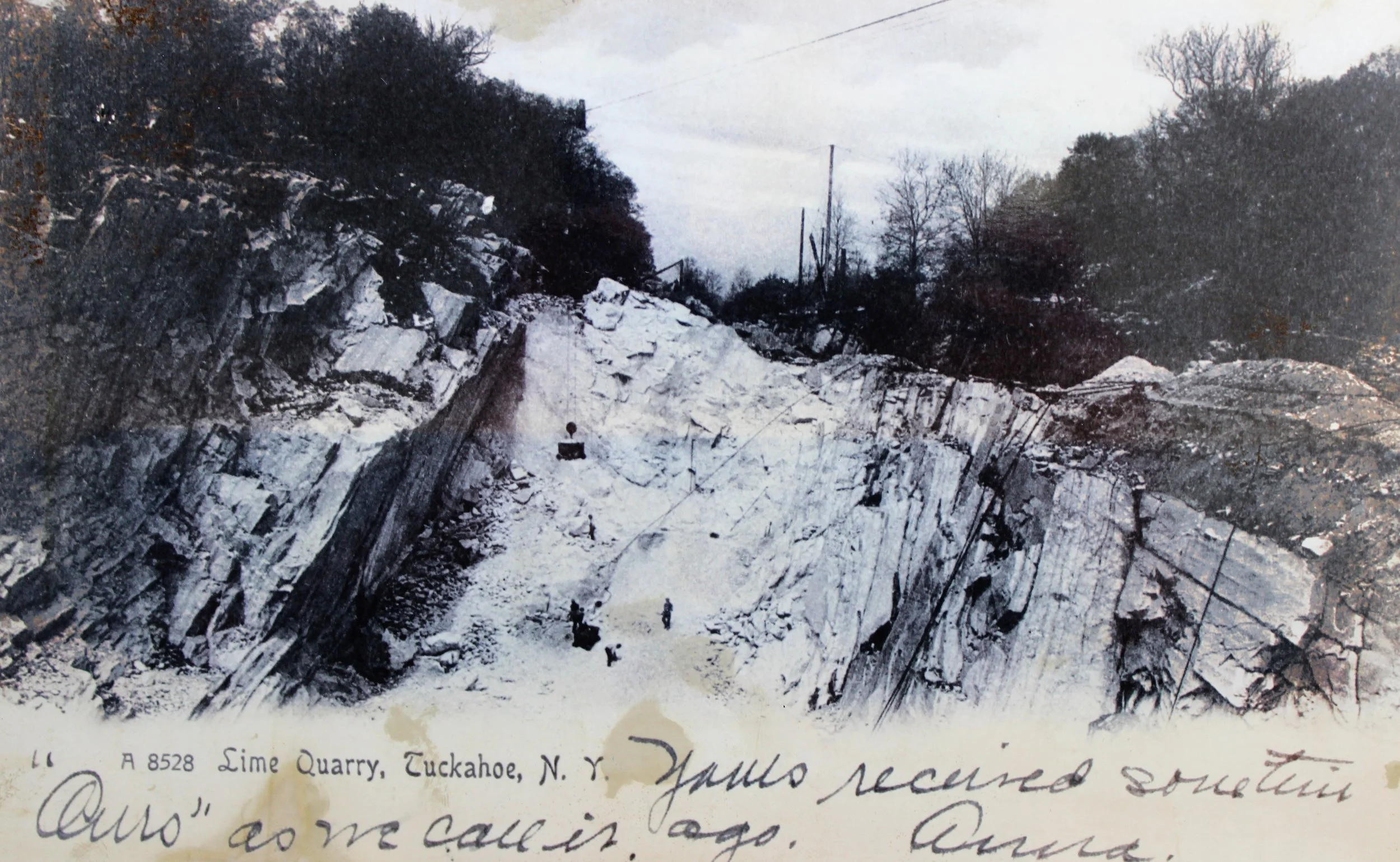 Pic-255 (Marble Quarry, Marbledale Road)