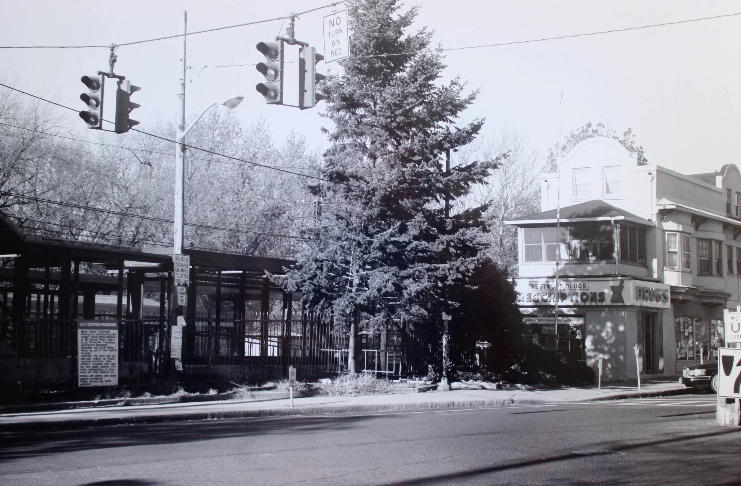 Pic-174 (Crestwood Train Station)