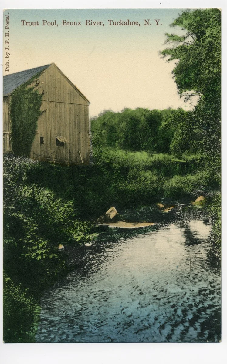 Pic-1004a (Bronx River)