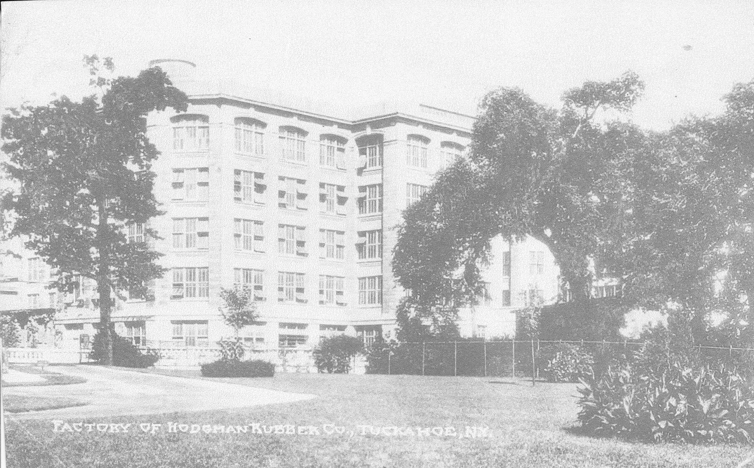 Pic-748 (Trees and Buildings)