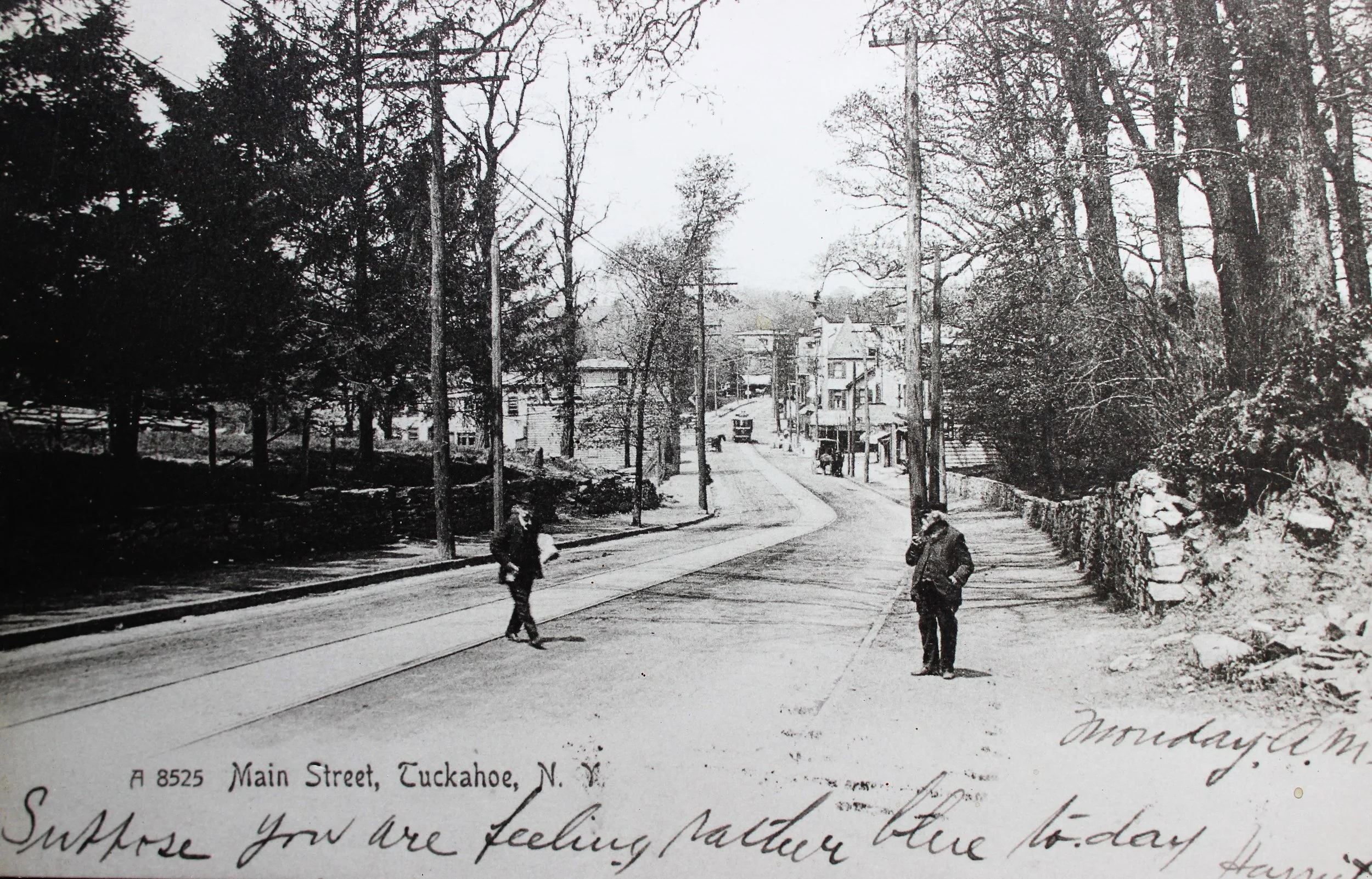 Pic-213 (Main St. , looking West ~1890)